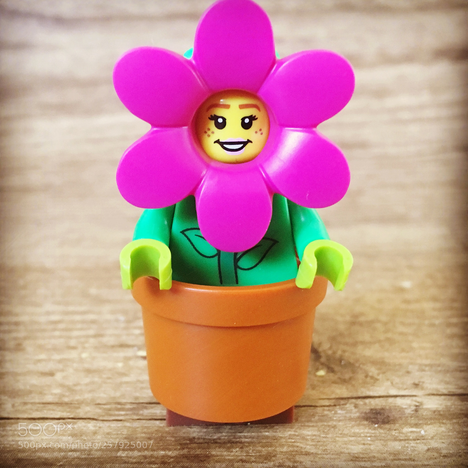Apple iPhone SE sample photo. Lego flower photography