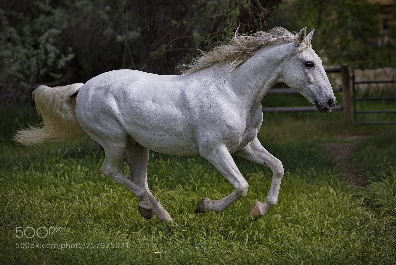 Canon EOS 5D Mark IV sample photo. On the move! photography