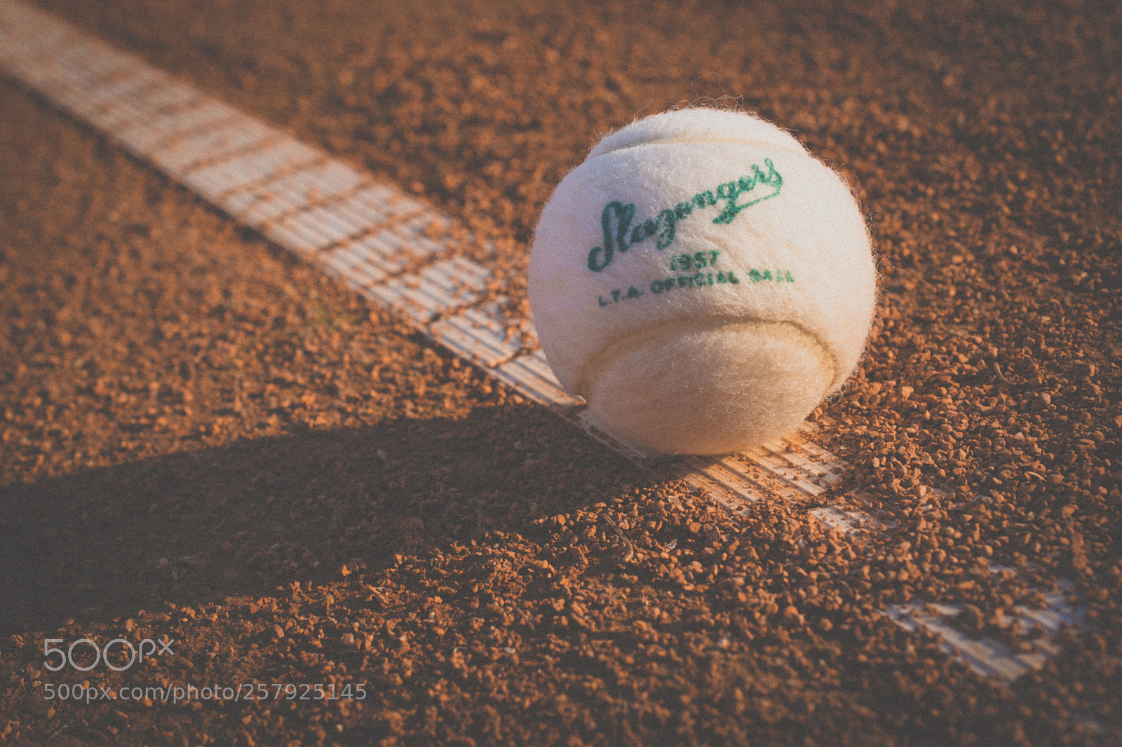 Nikon D5200 sample photo. No 2 photography