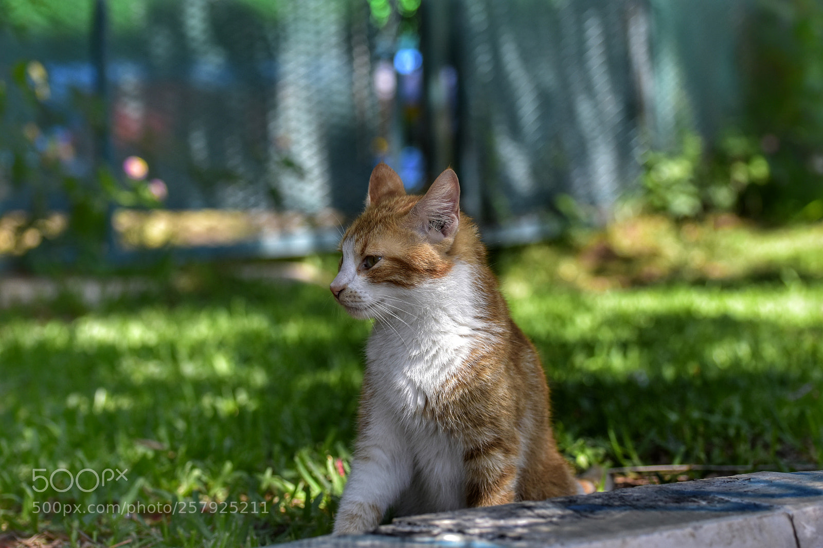 Nikon D3400 sample photo. Untitled photography