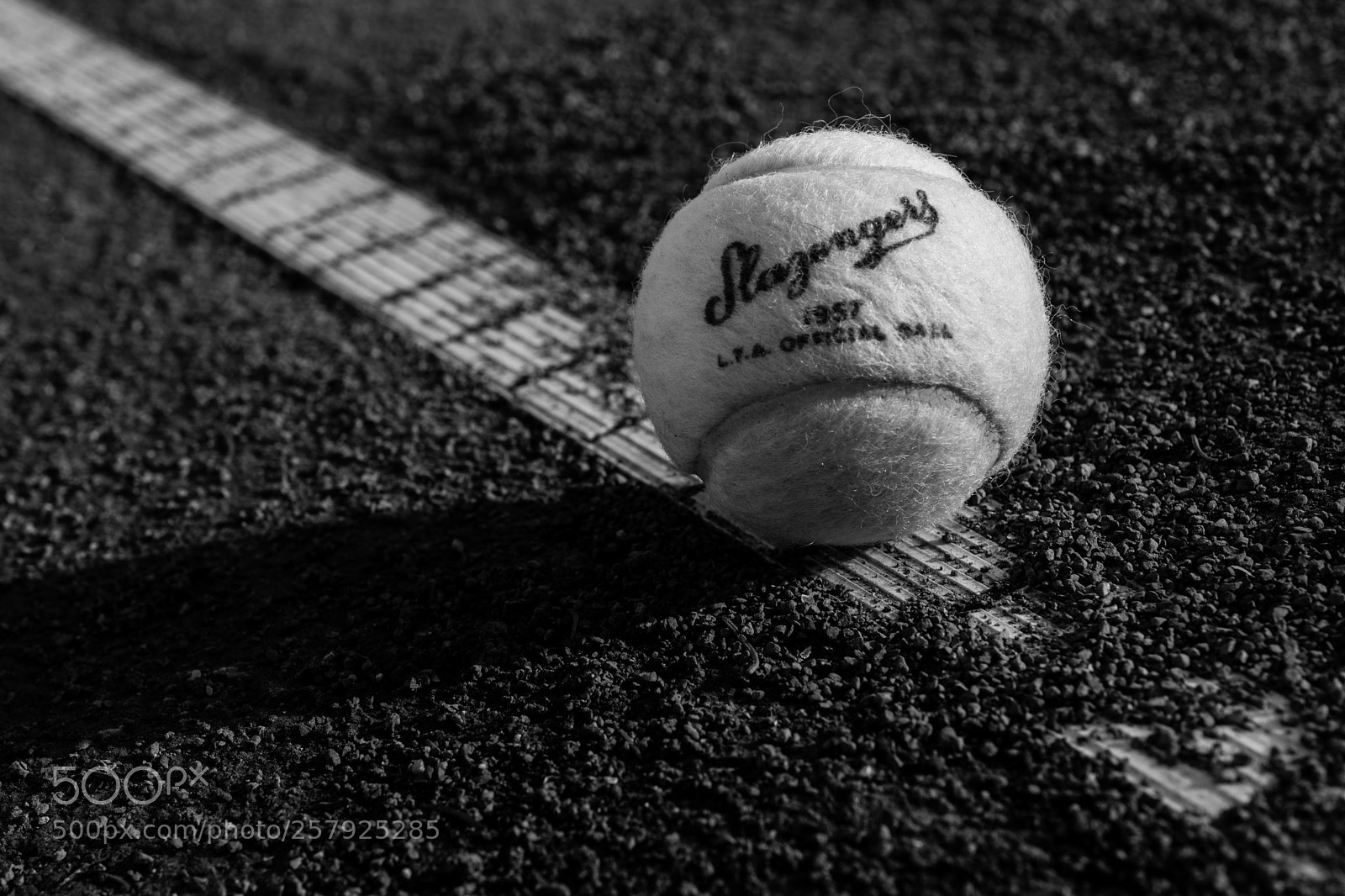 Nikon D5200 sample photo. No 3 photography