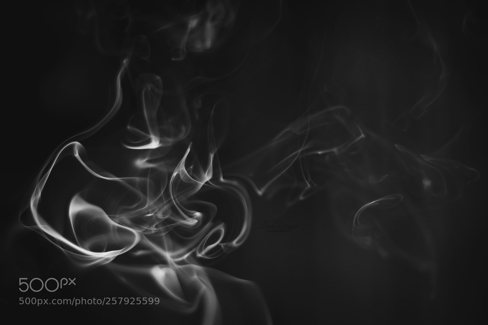 Canon EOS 7D Mark II sample photo. Black and white smoke photography