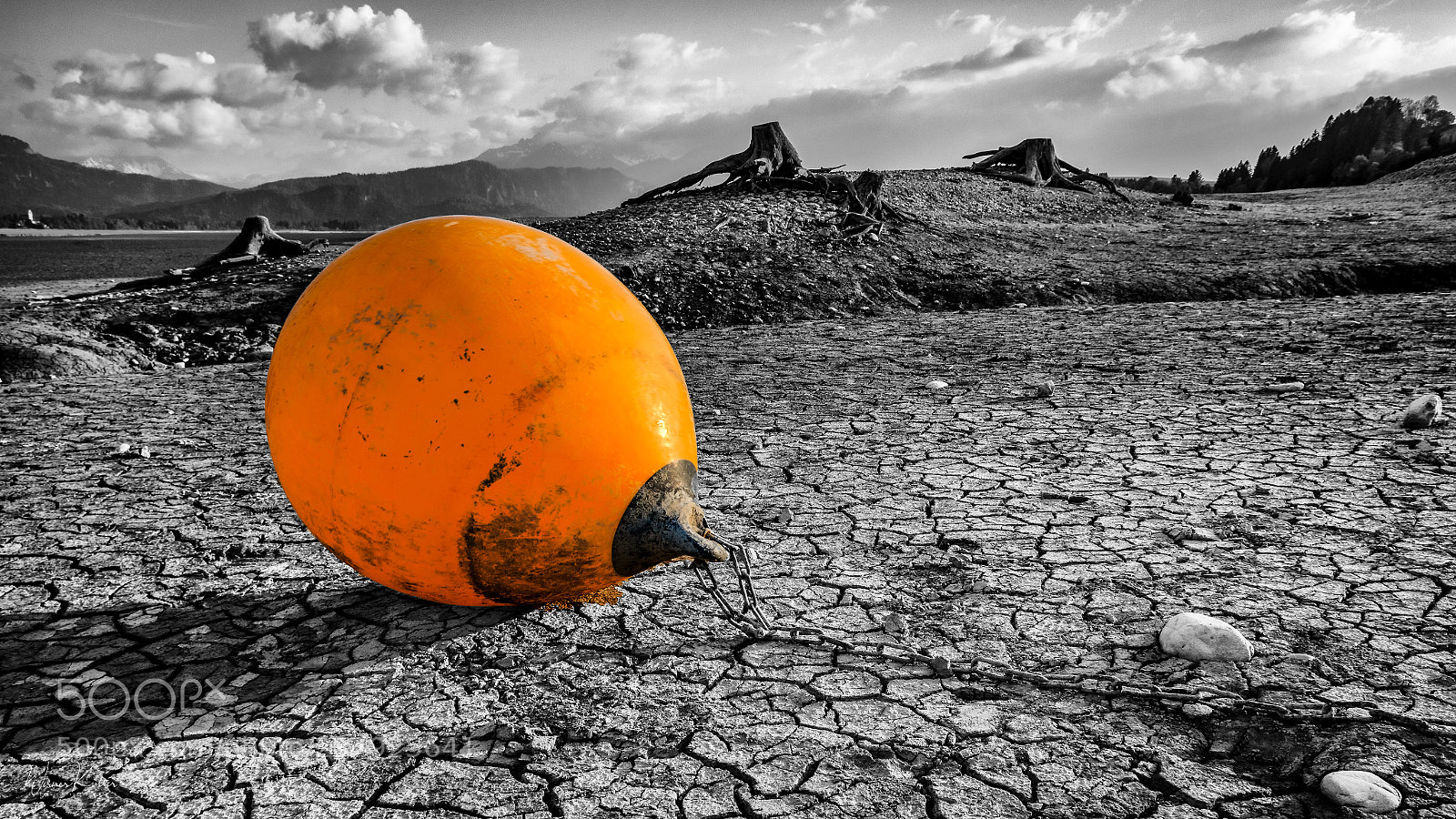 Canon EOS 70D sample photo. Orange photography