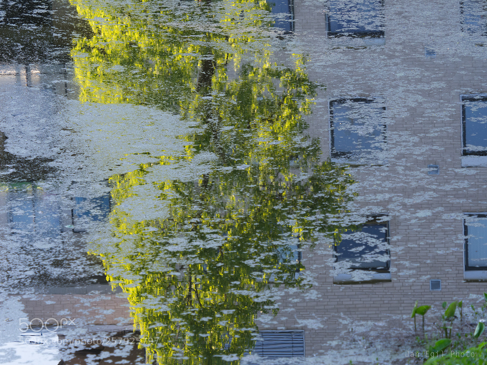 Olympus OM-D E-M1 Mark II sample photo. Abstraction photography