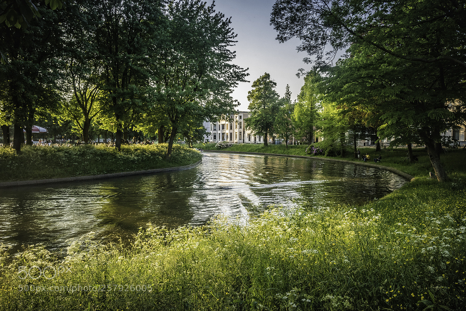 Sony ILCA-77M2 sample photo. A glorious spring evening photography