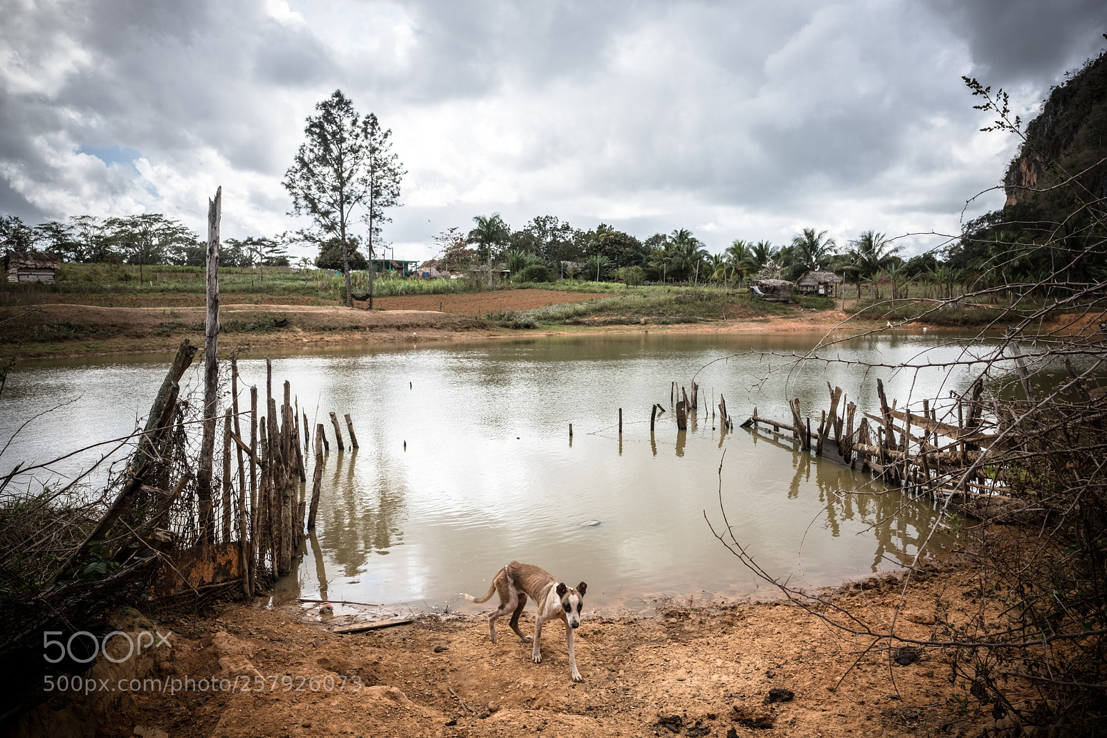 Fujifilm X-Pro2 sample photo. Viñales photography
