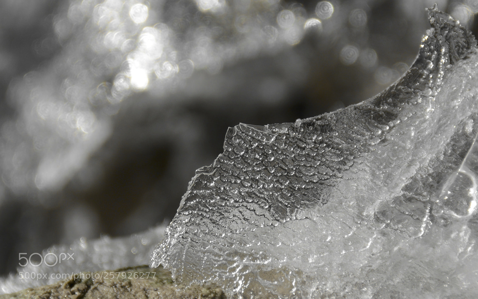 Nikon D7100 sample photo. Comme du verre… photography