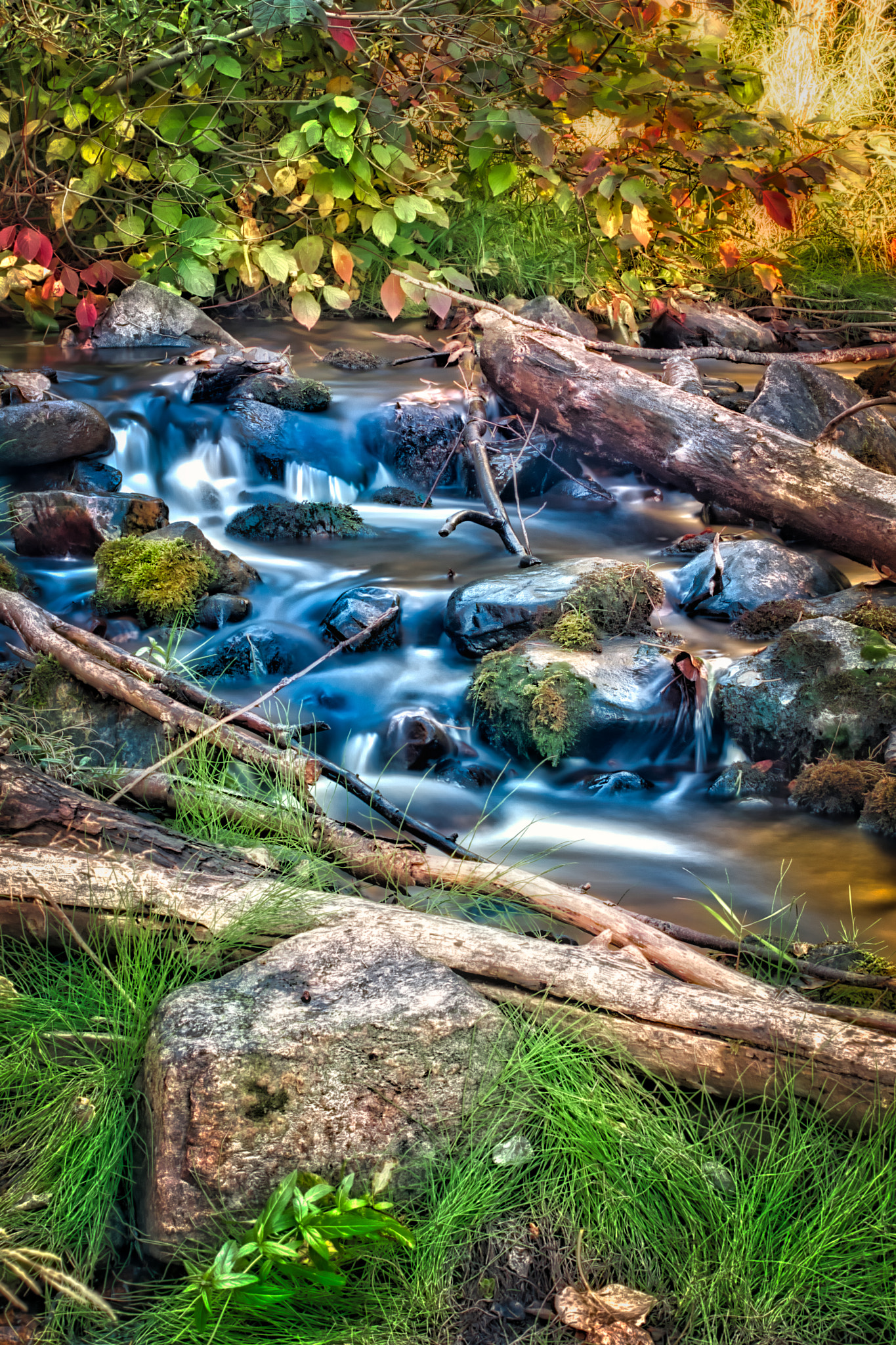 Canon EOS 70D + Canon EF 50mm F1.4 USM sample photo. Capturing the creek photography