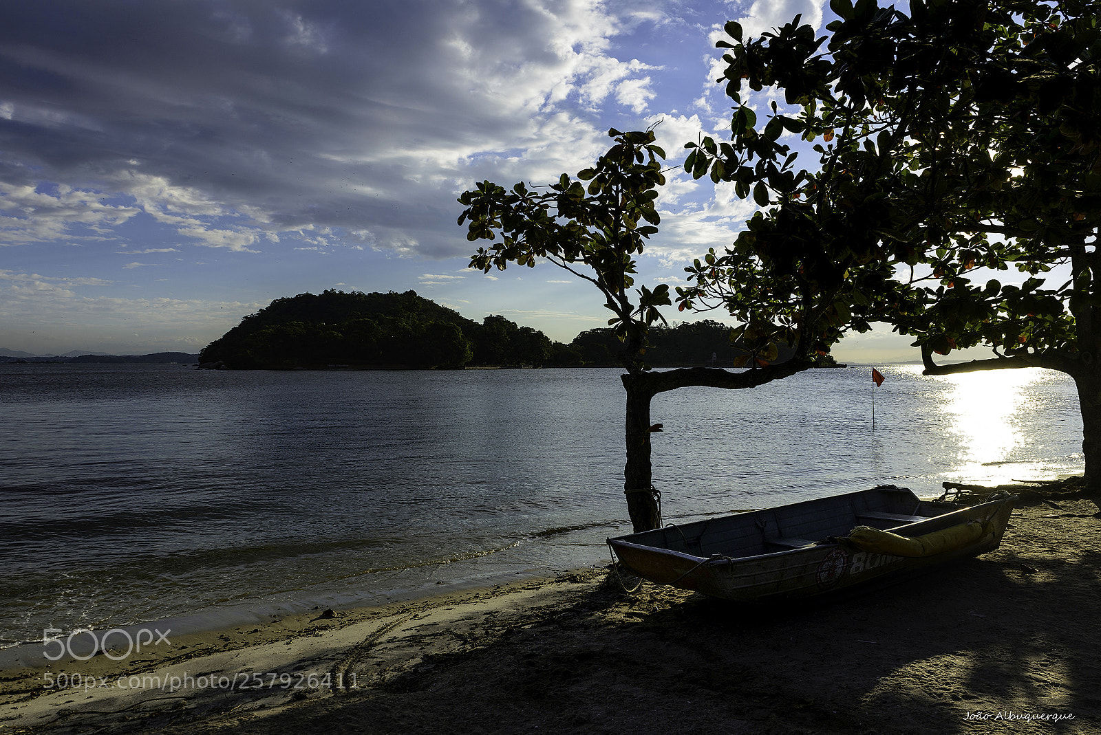 Nikon D600 sample photo. Highlights of sunshine at photography
