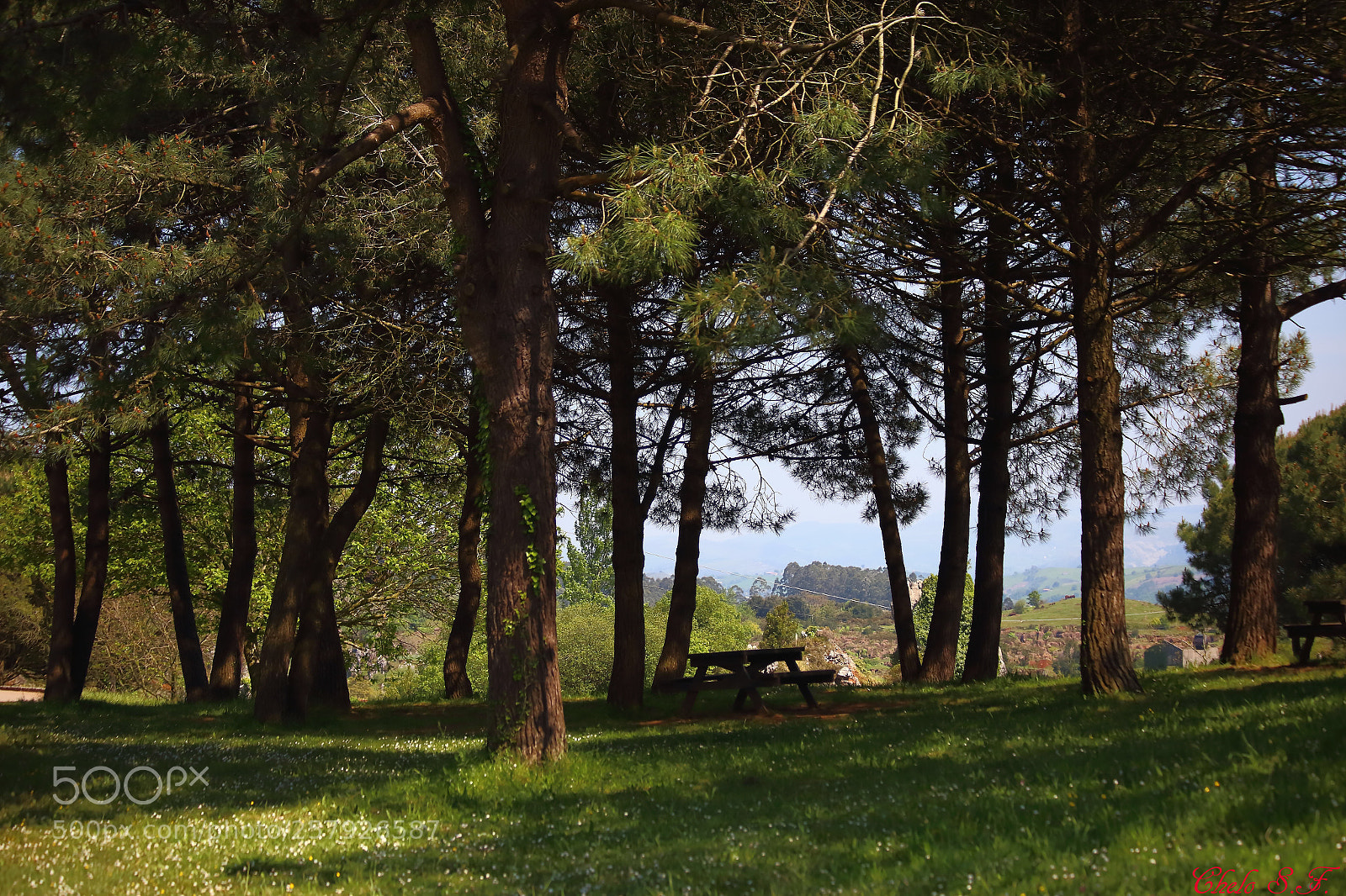 Canon EOS 6D sample photo. Untitled photography