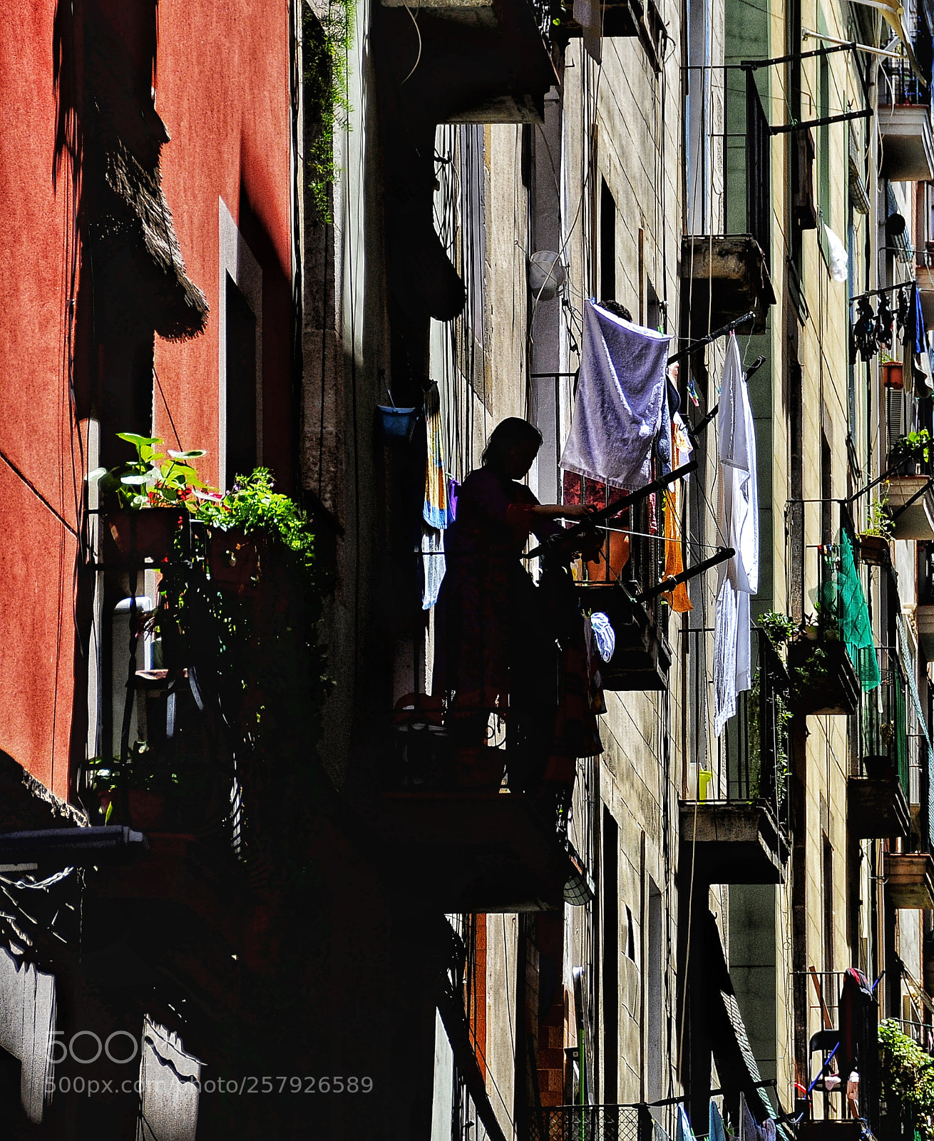 Nikon D300S sample photo. Untitled photography