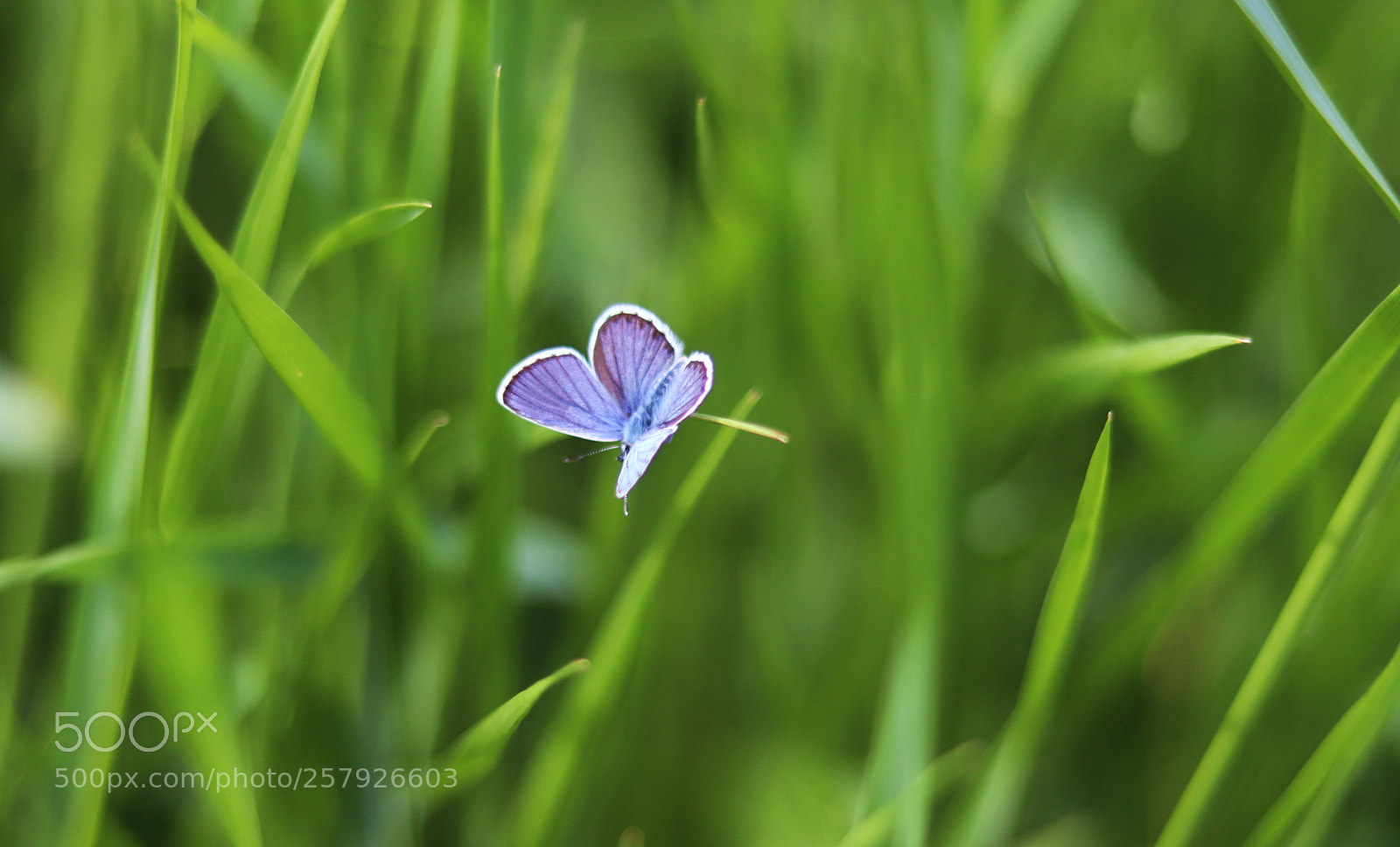 Canon EOS 77D (EOS 9000D / EOS 770D) sample photo. Untitled photography