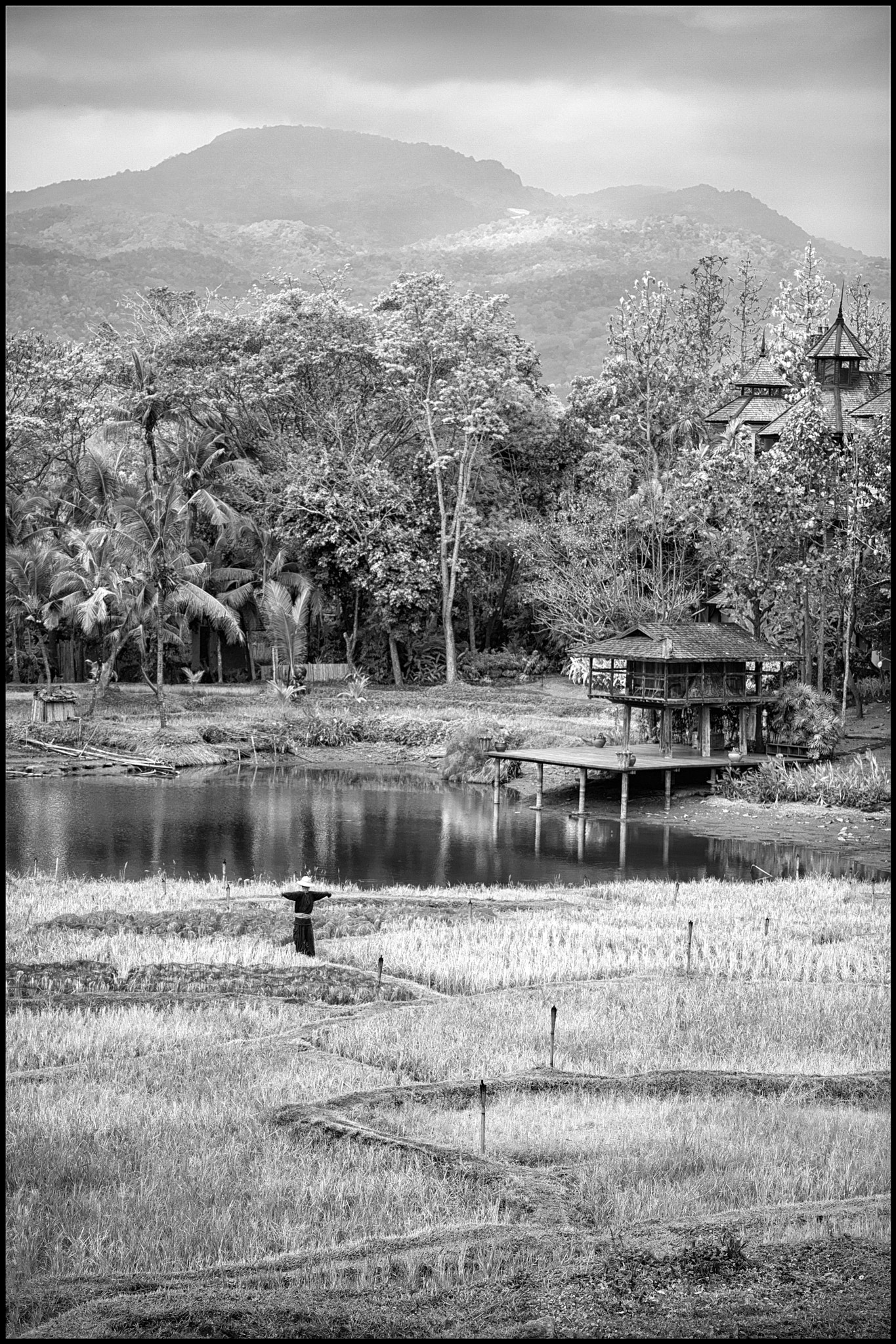 Leica CL sample photo. Handsome scarecrow of the rice fields.... photography