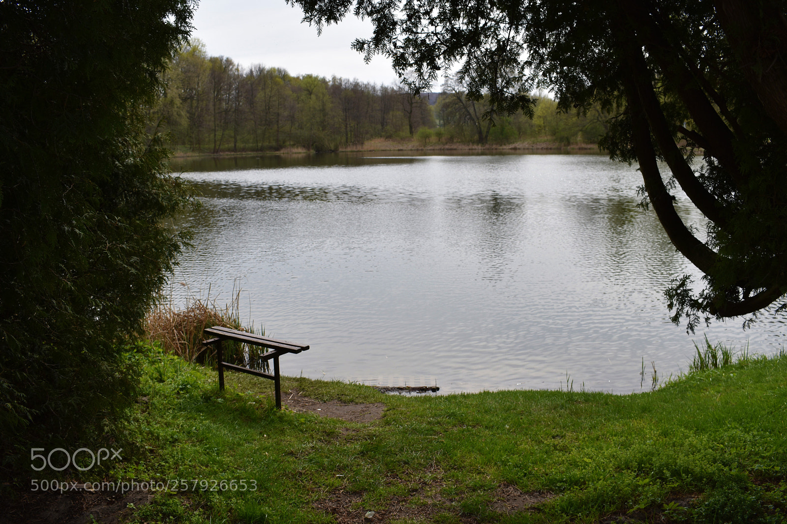 Nikon D3400 sample photo. Bench photography