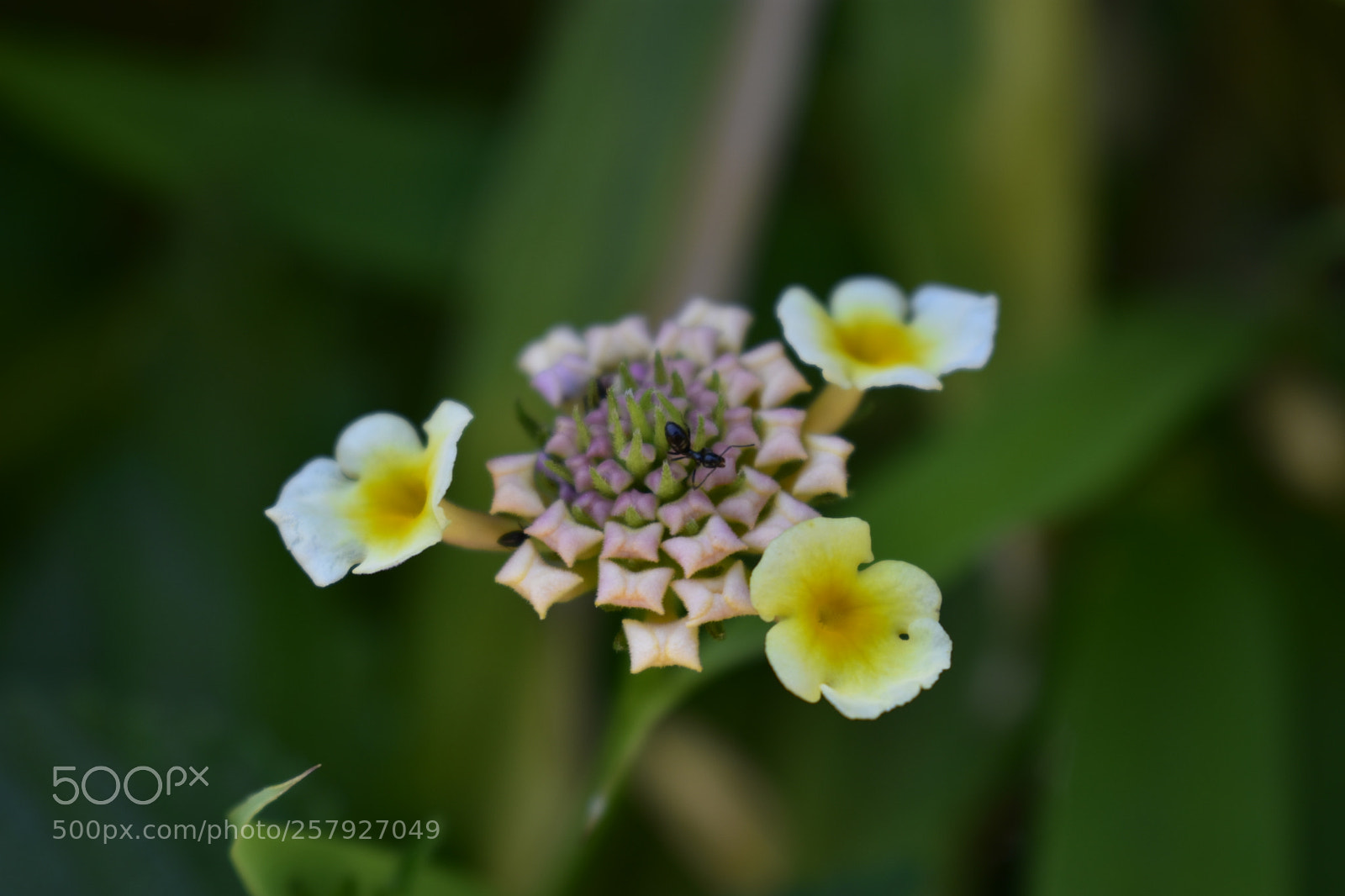 Nikon D3400 sample photo. Untitled photography