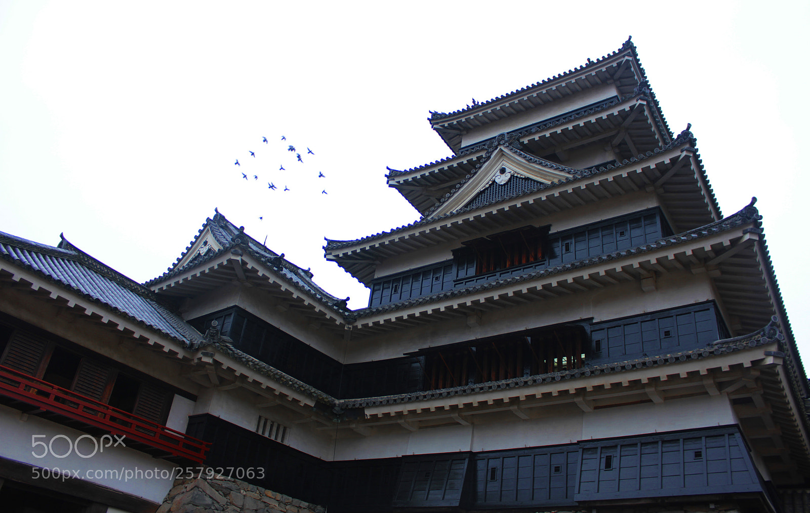 Canon EOS 550D (EOS Rebel T2i / EOS Kiss X4) sample photo. Matsumoto castle 1 photography