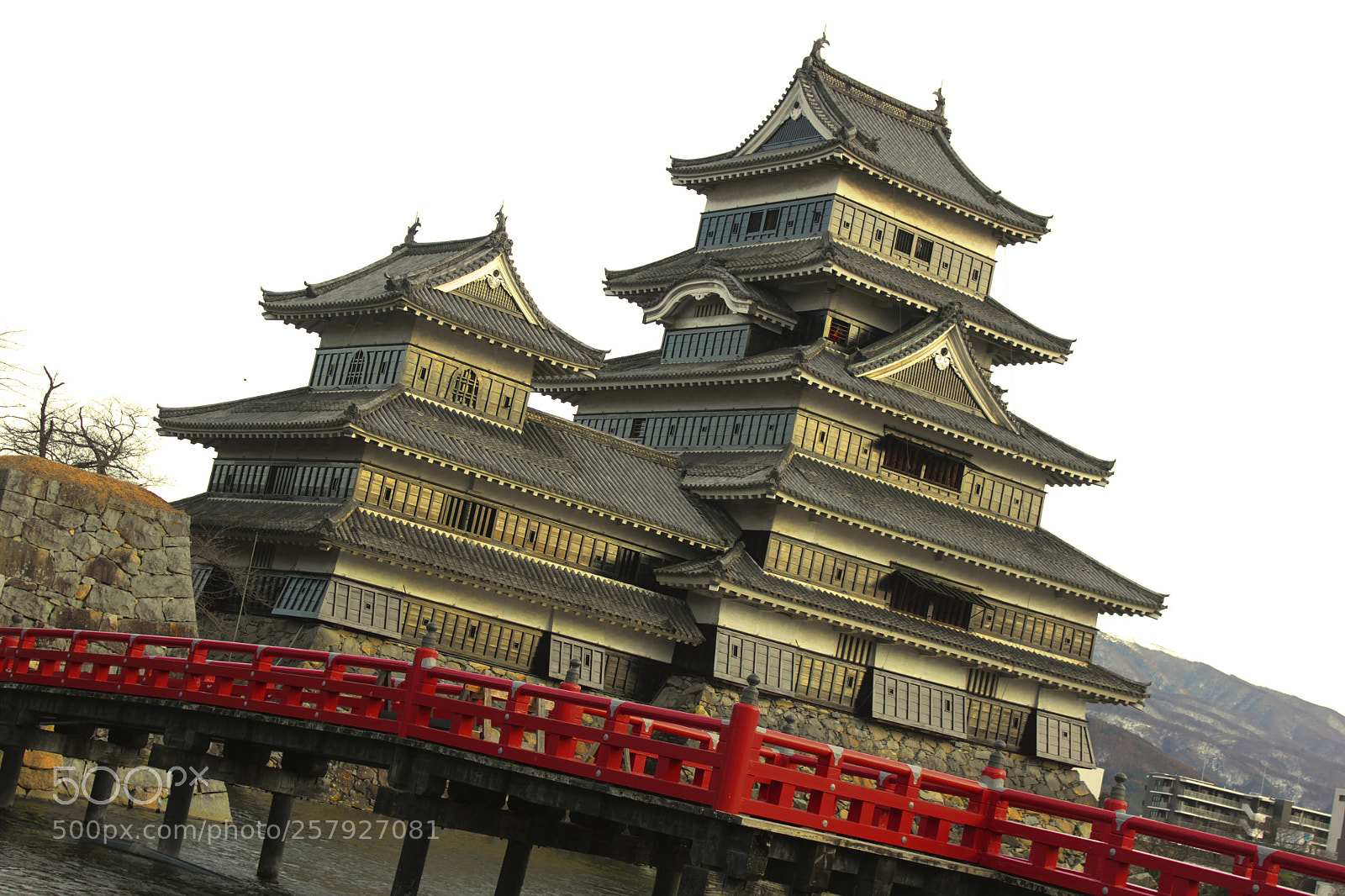 Canon EOS 550D (EOS Rebel T2i / EOS Kiss X4) sample photo. Matsumoto castle 2 photography