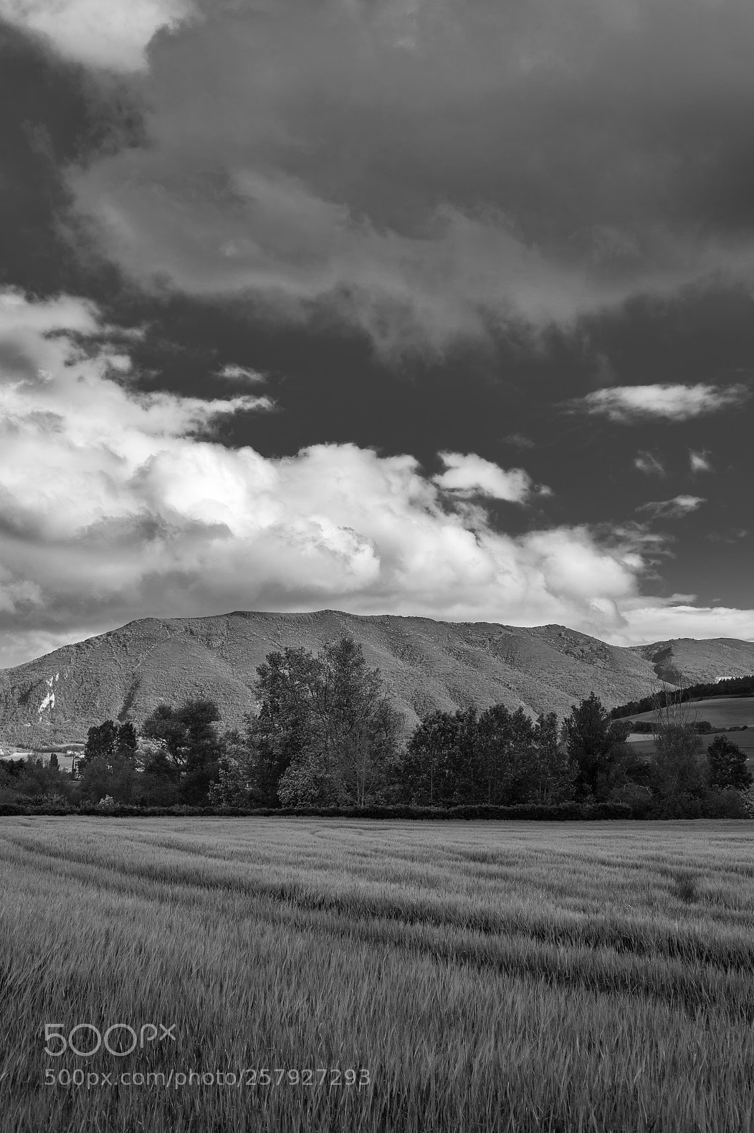 Nikon D4 sample photo. Nubes photography