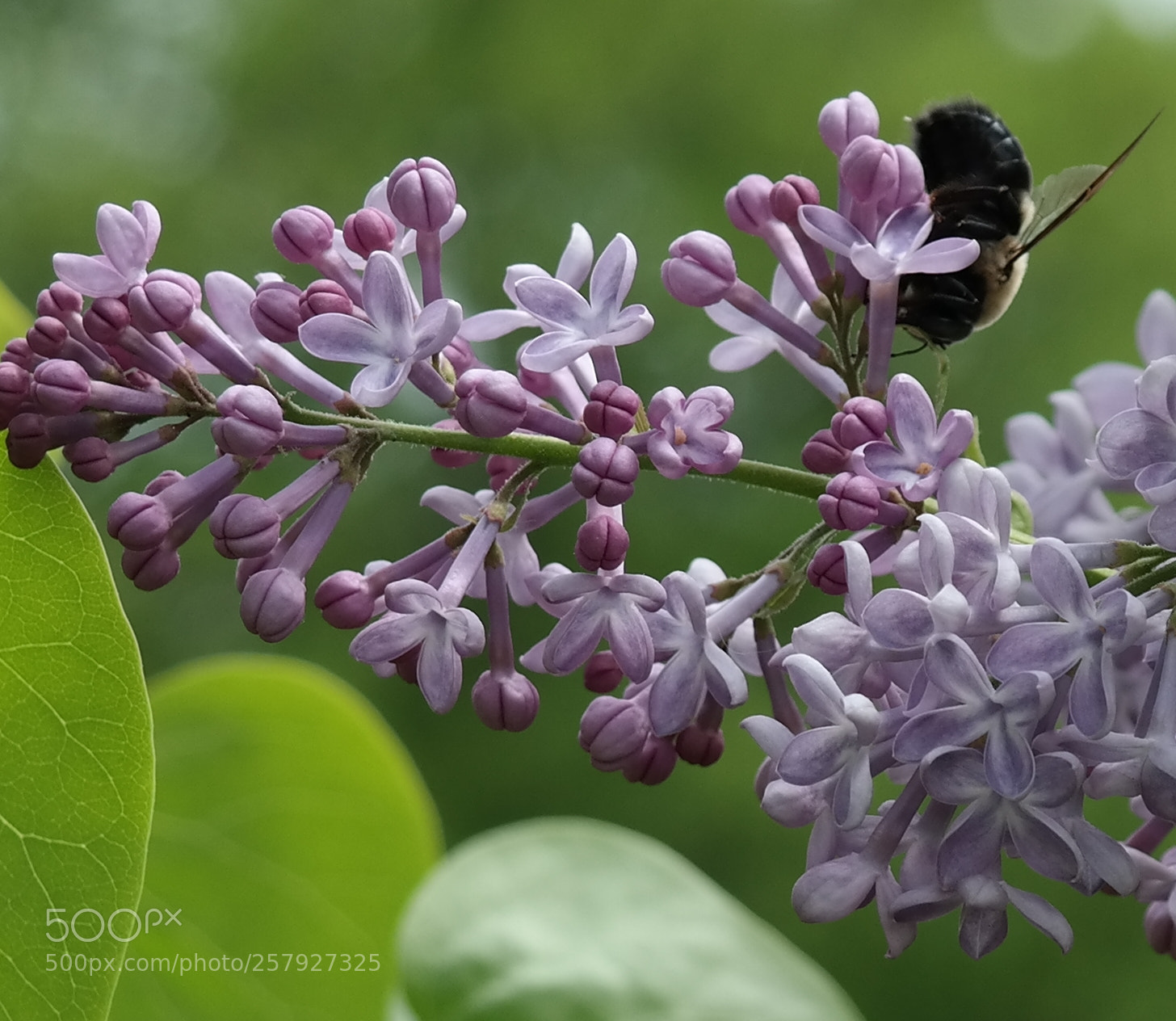 Samsung NX300 sample photo. Untitled photography