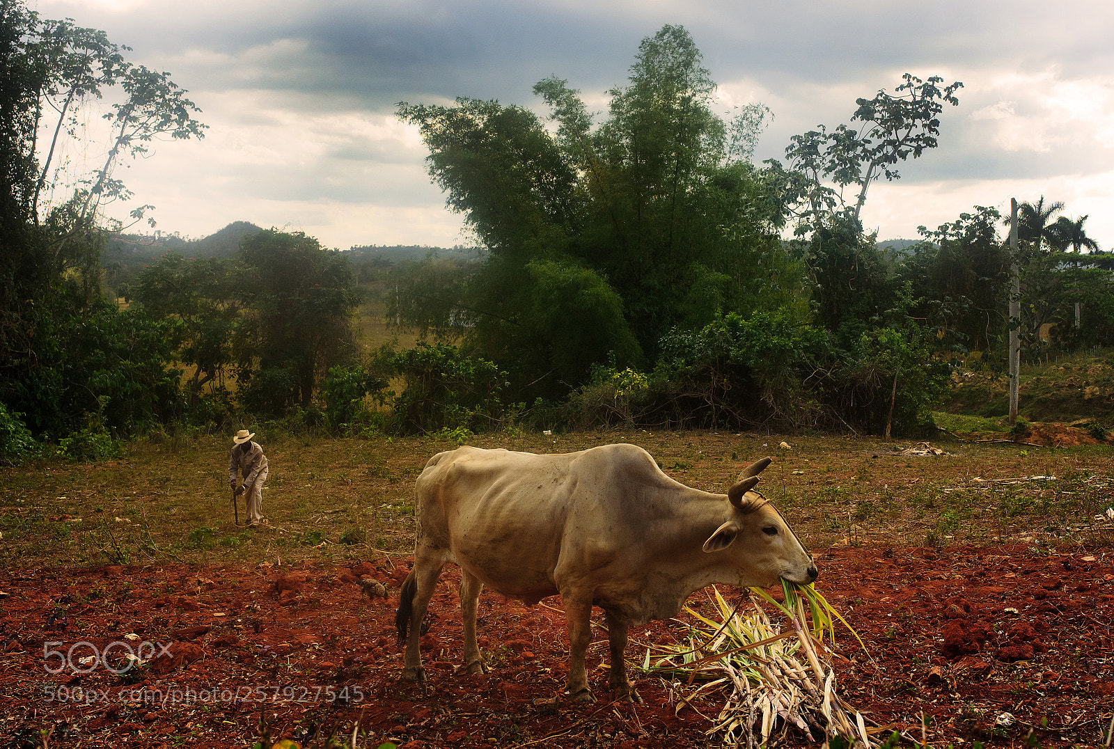 Nikon D750 sample photo. Cuba photography