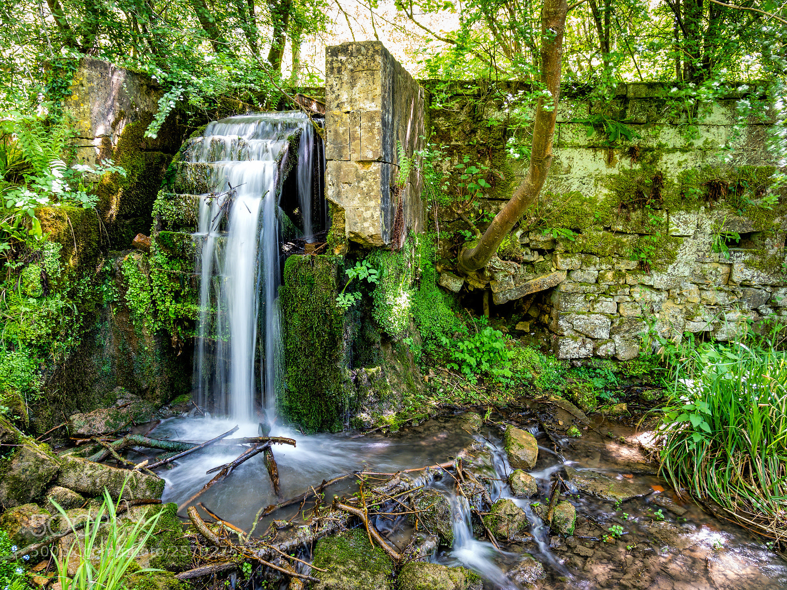 Olympus OM-D E-M1 Mark II sample photo. Water wheel. photography