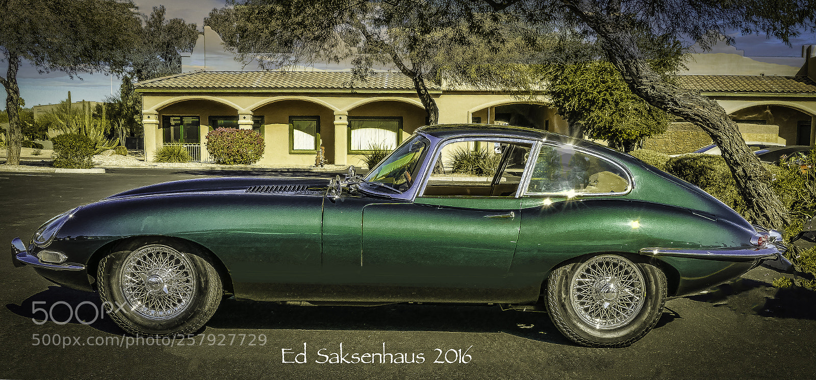 Panasonic Lumix DMC-FZ1000 sample photo. Green jaguar photography