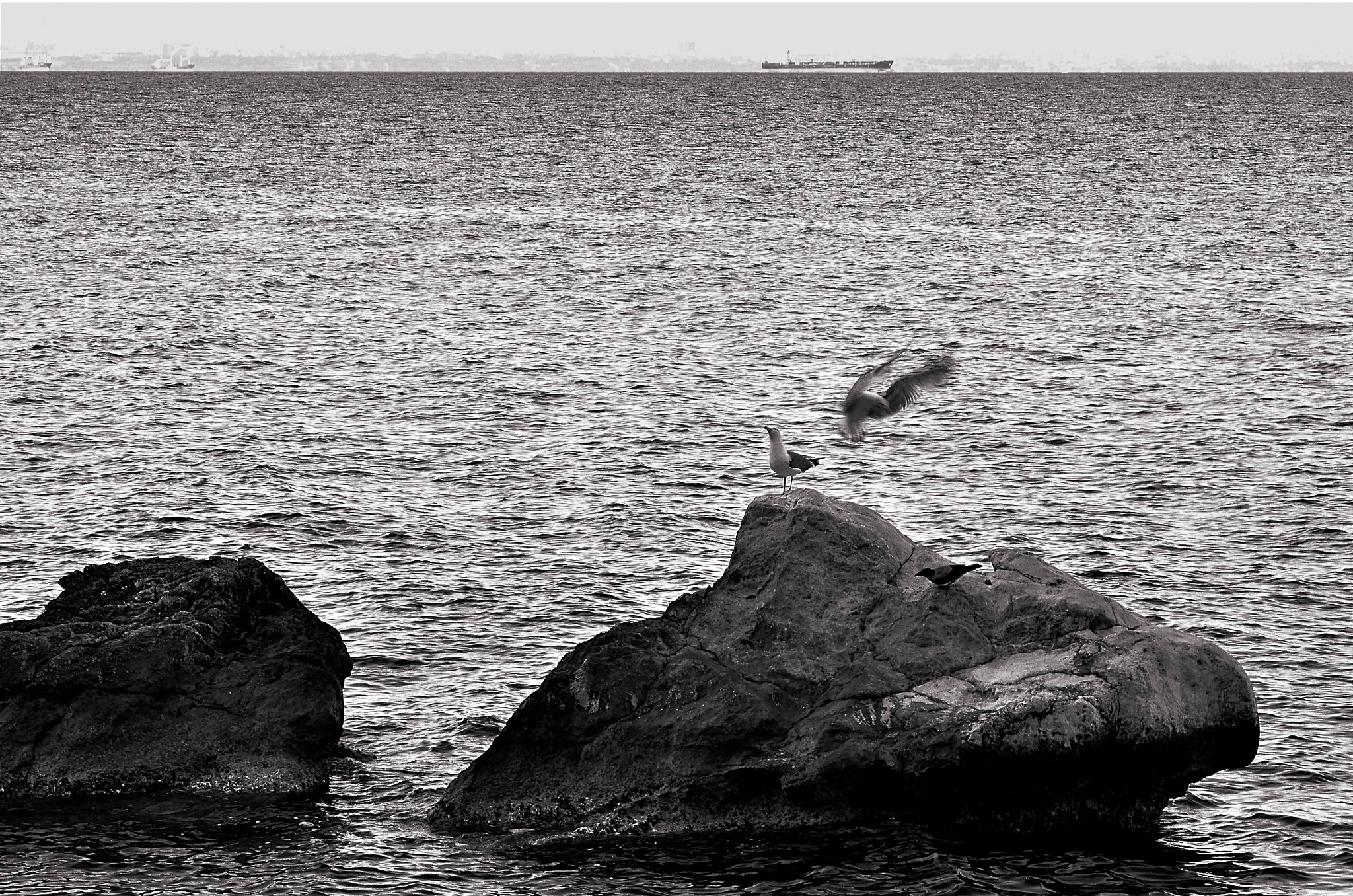 Nikon D7000 sample photo. Oa68 photography