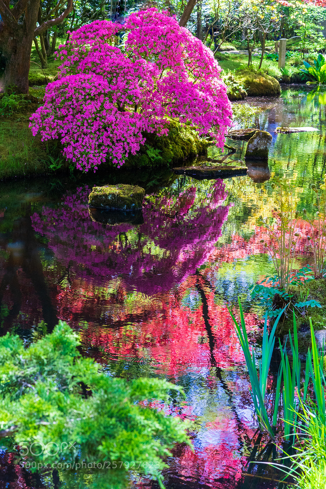 Sony a7 II sample photo. Impressionist reflection photography