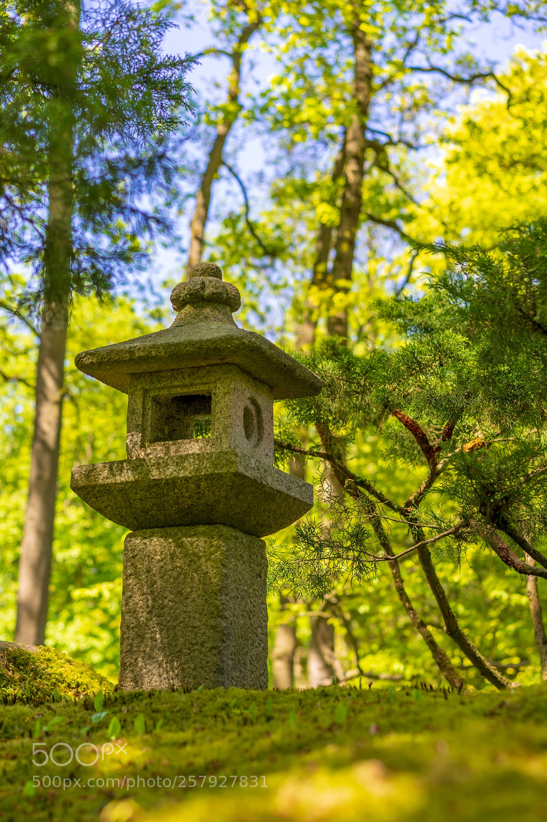 Sony a7 II sample photo. Tower high photography