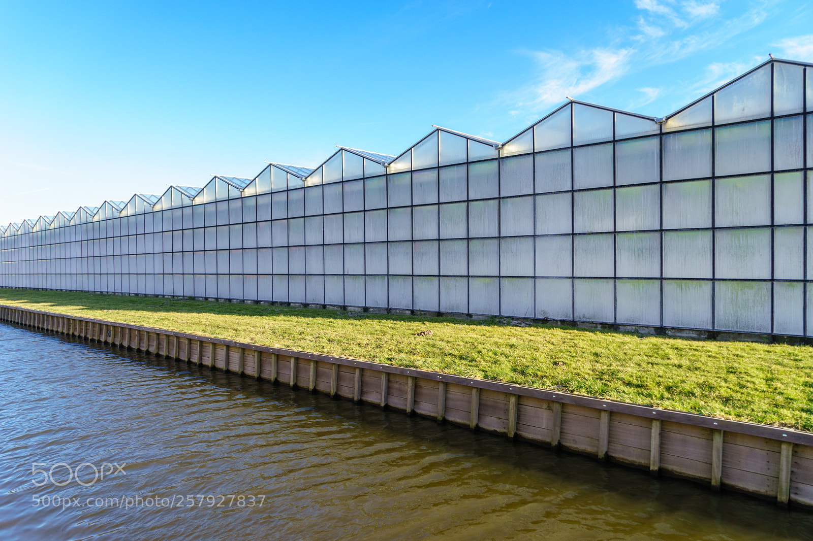 Sony a7 II sample photo. Greenhouse patterns photography