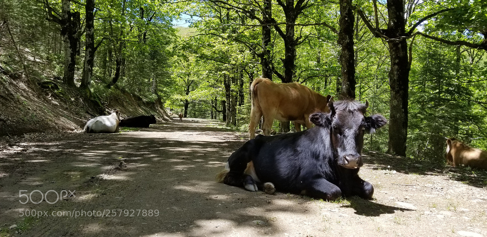 Samsung Galaxy S8 sample photo. Untitled photography