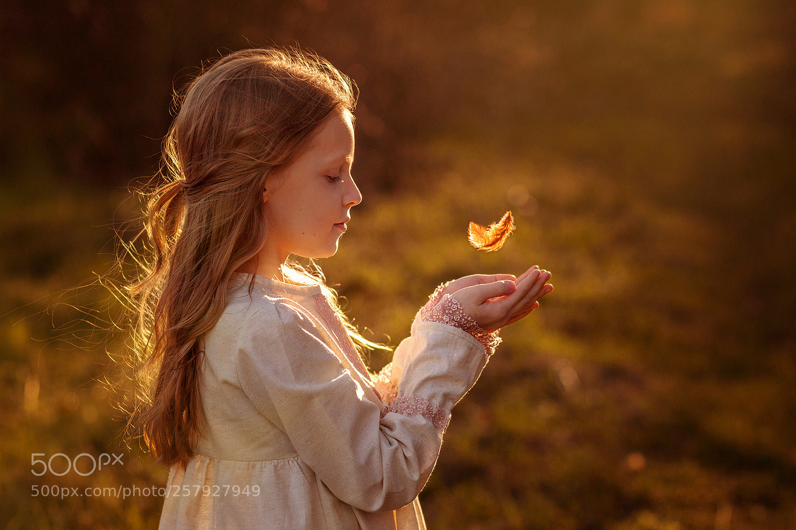 Canon EOS 6D sample photo. A little magic photography