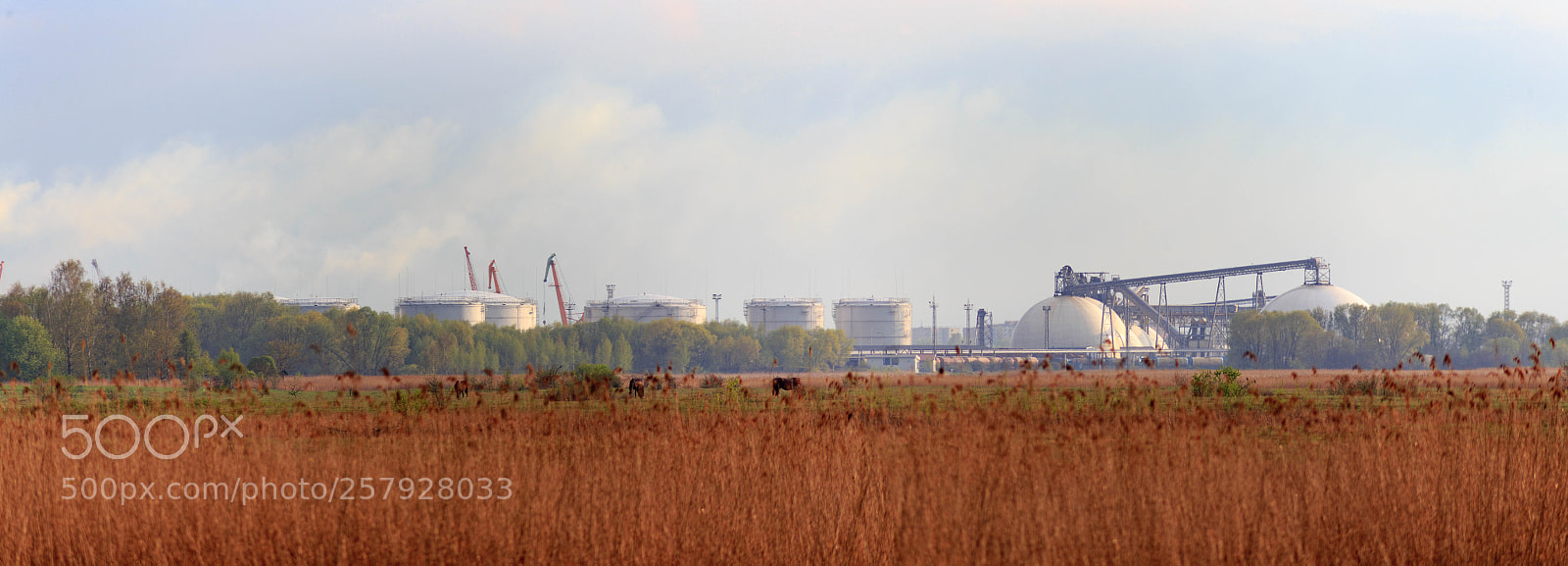 Canon EOS 6D sample photo. Nature vs industry photography