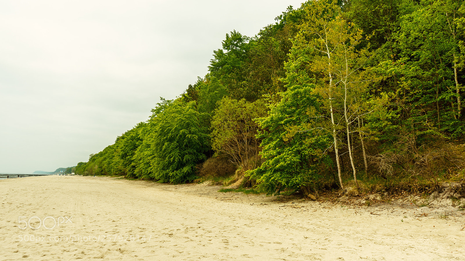 Sony a7 sample photo. Usedom photography