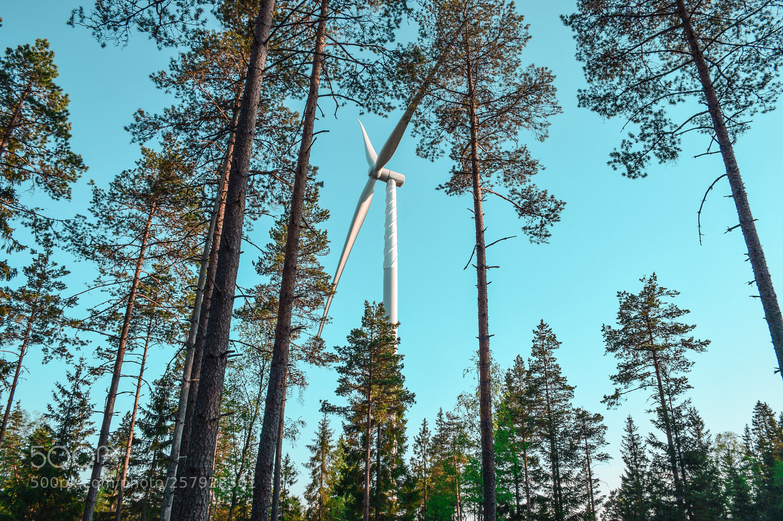 Nikon D5300 sample photo. Summer in sweden photography