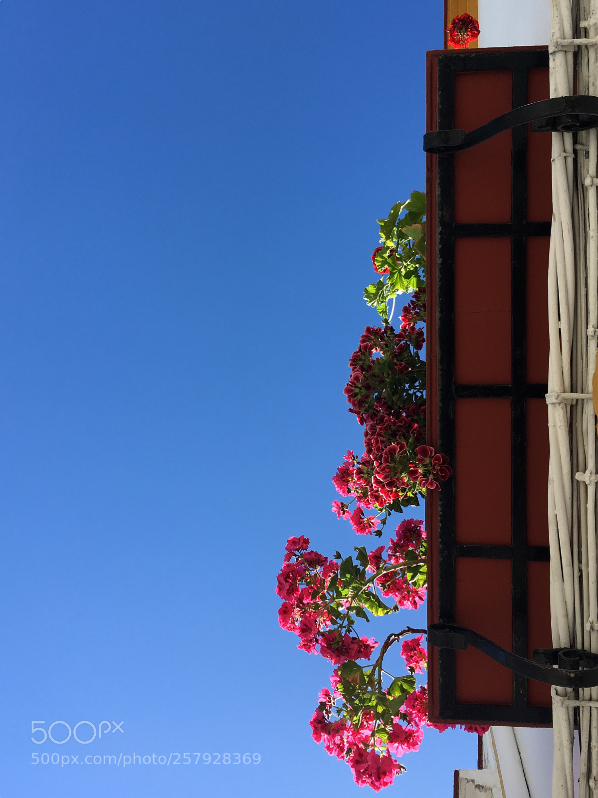 Apple iPhone SE sample photo. Mayo cordobéh. photography