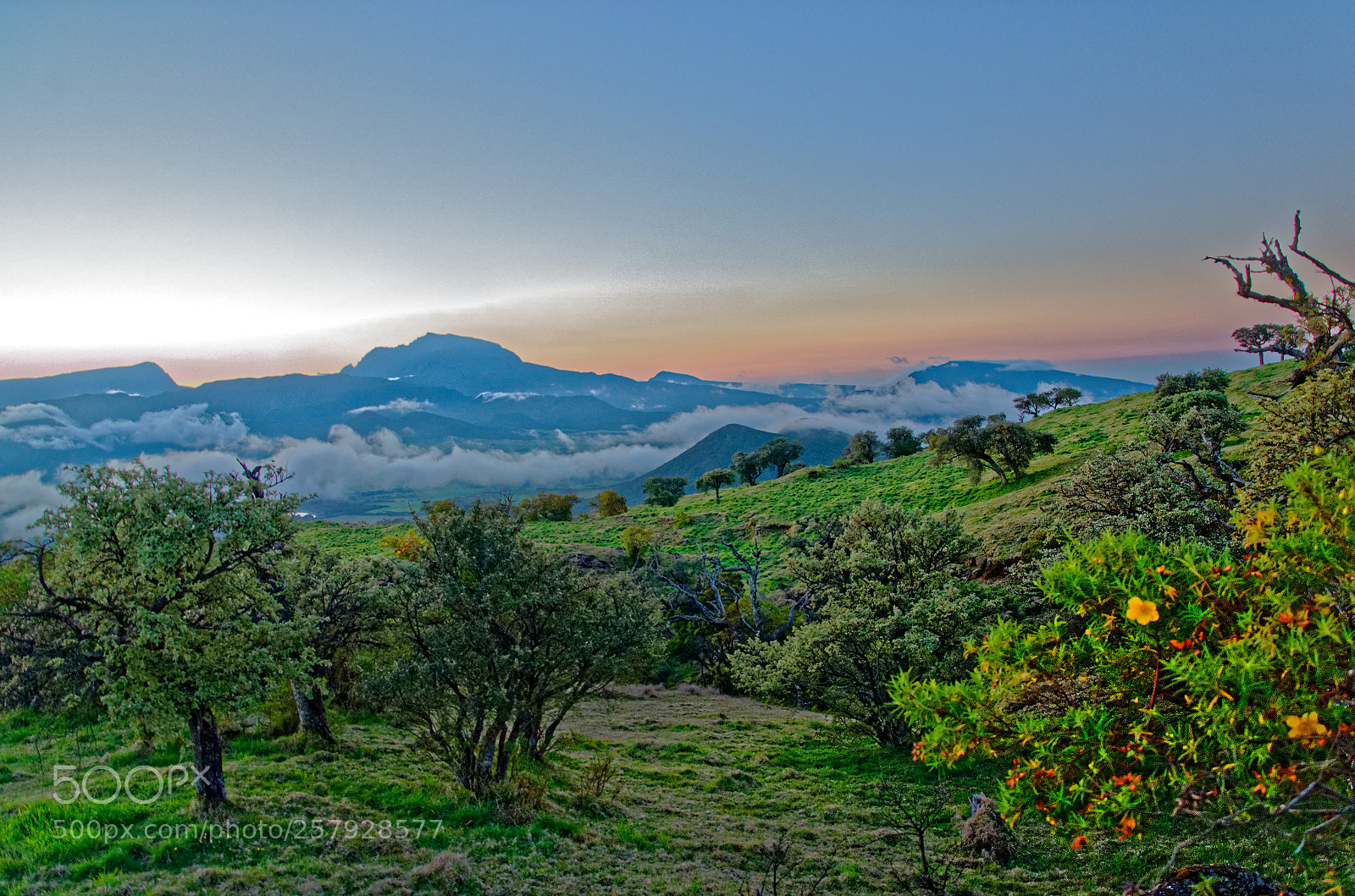Nikon D7000 sample photo. Sunset sur le piton photography