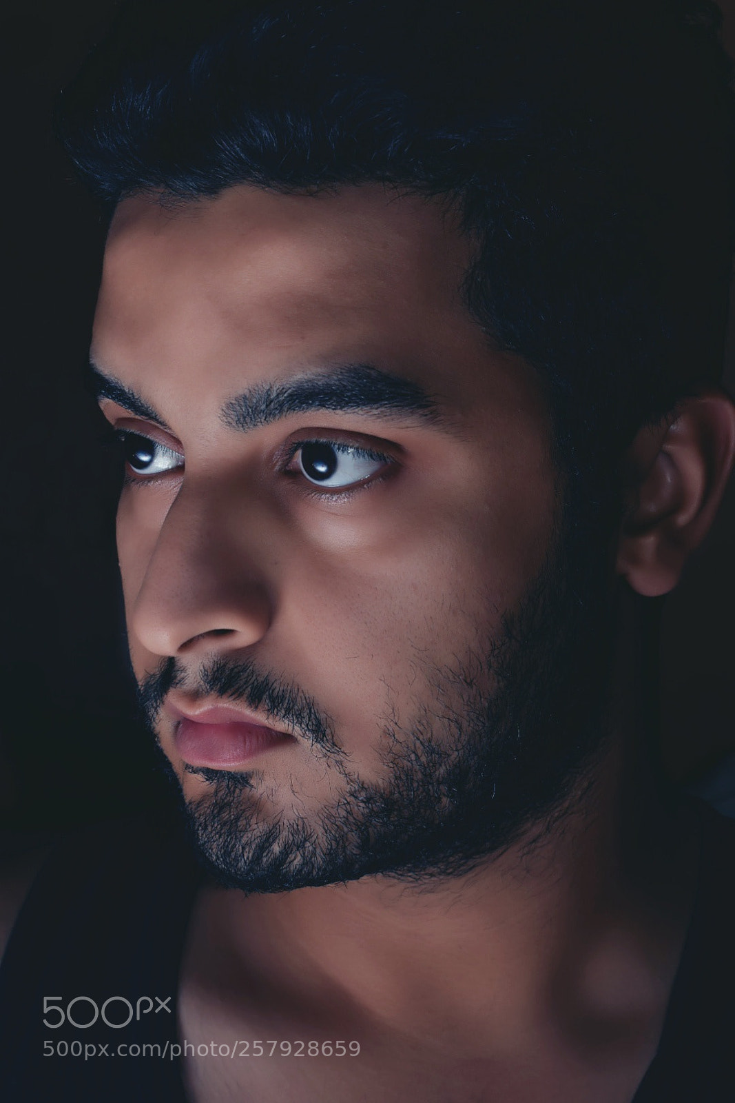 Nikon D5300 sample photo. Untitled photography