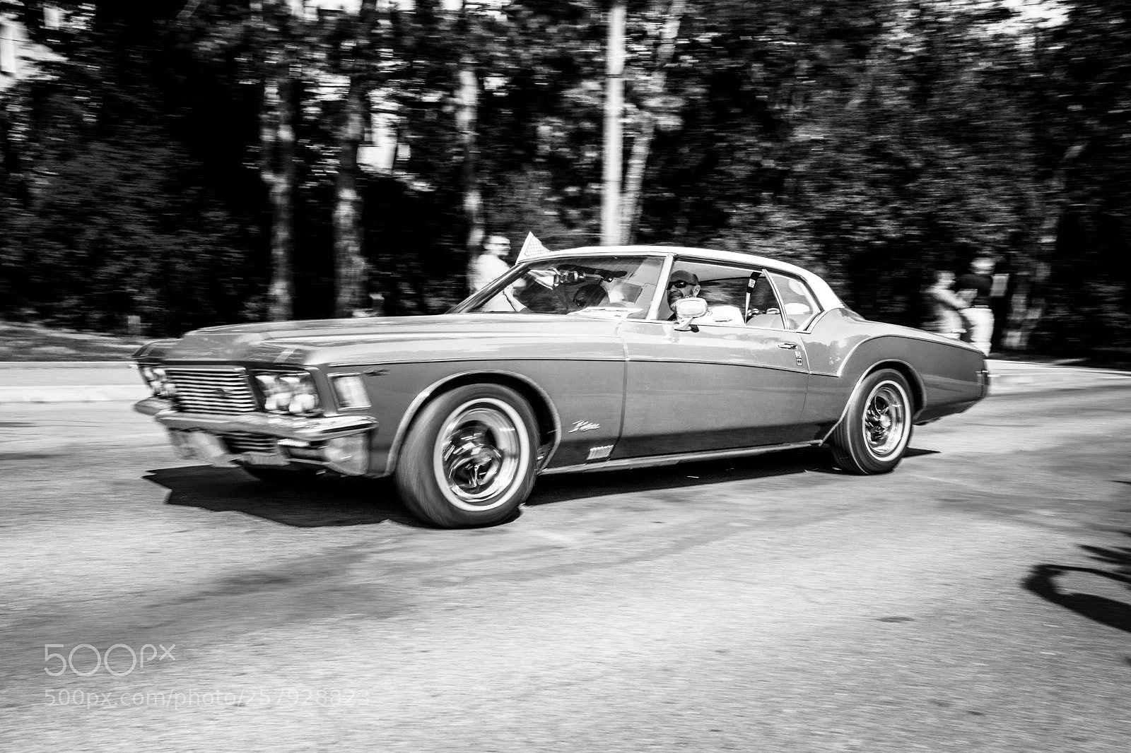 Canon EOS 6D Mark II sample photo. Riding with the king photography