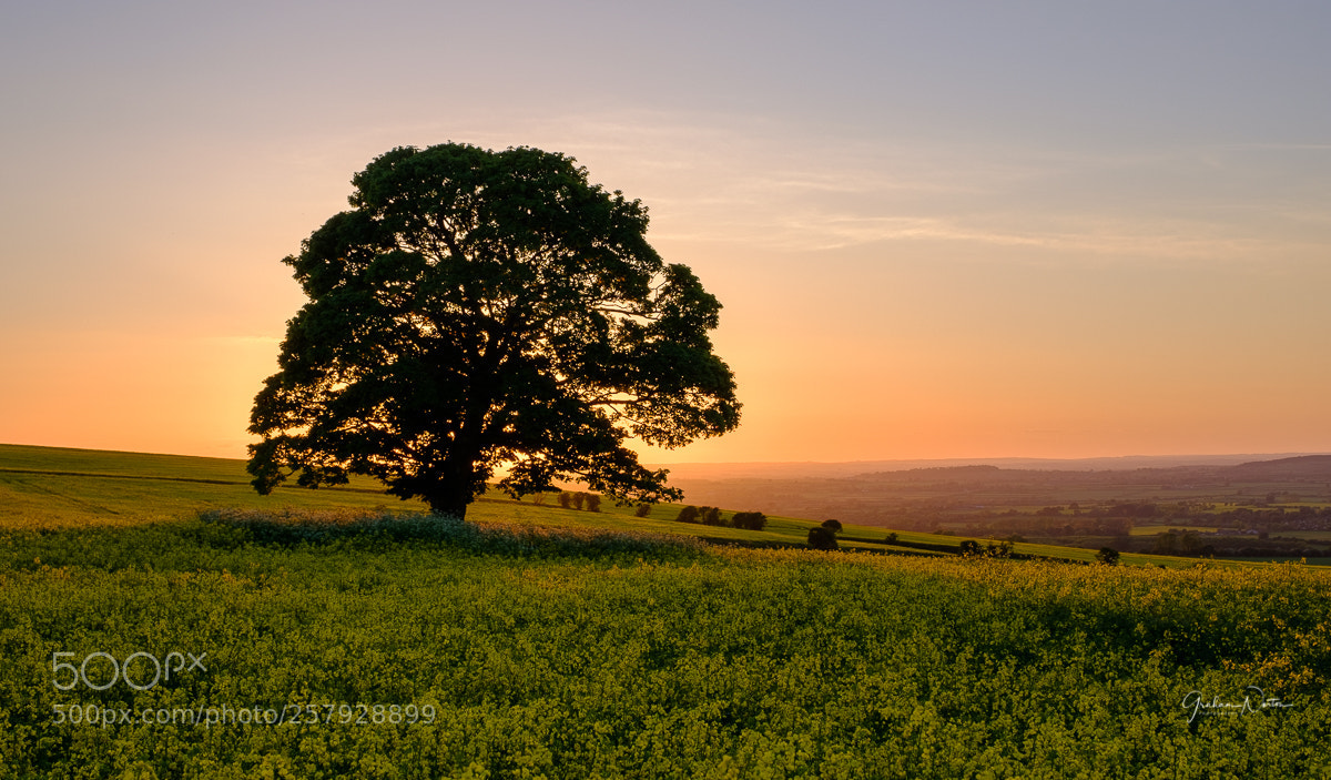 Fujifilm X-T20 sample photo. Somewhere off the ridgeway photography