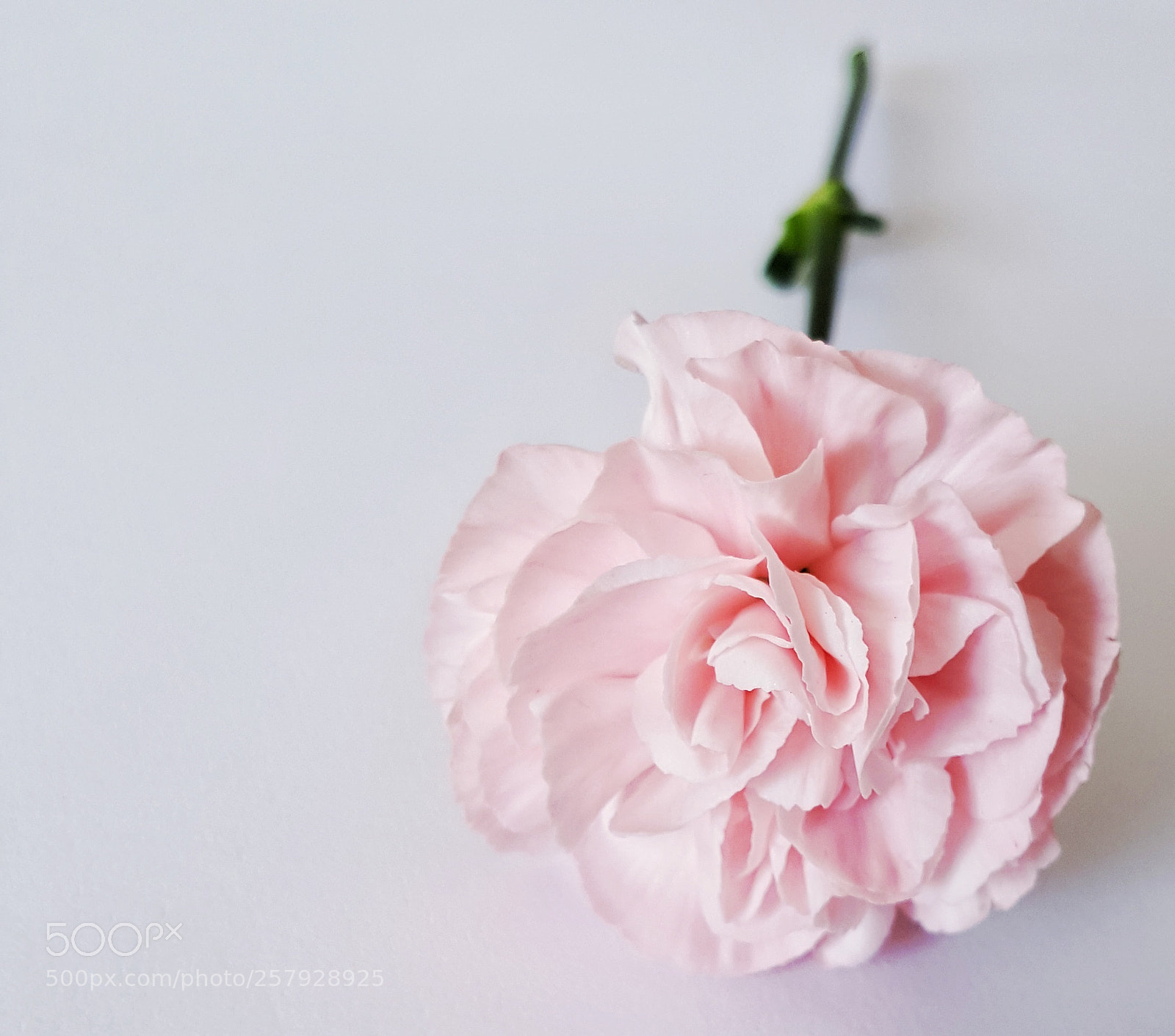 Samsung Galaxy S6 sample photo. • anjer • photography