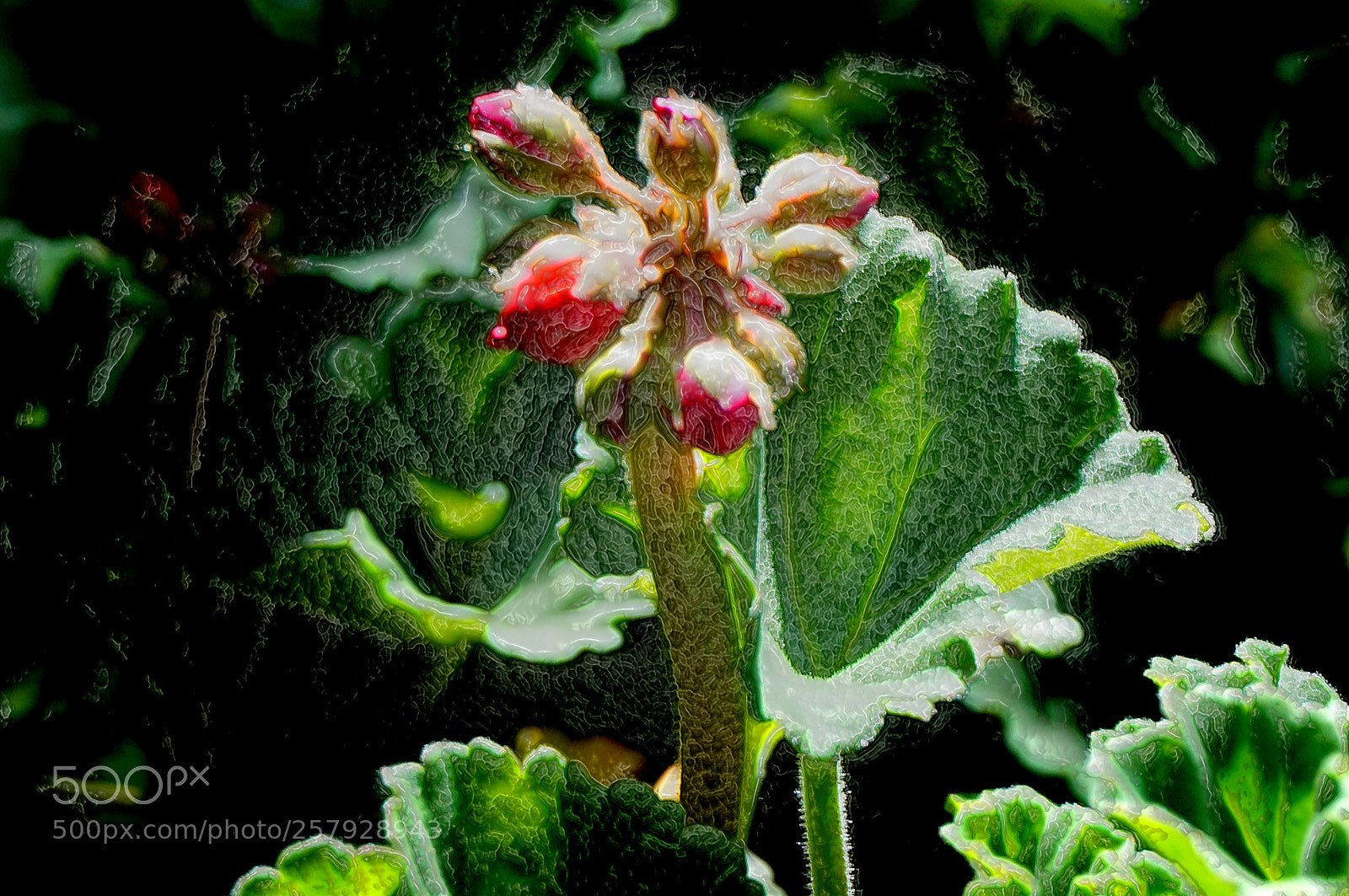 Sony Alpha NEX-6 sample photo. Beauty photography