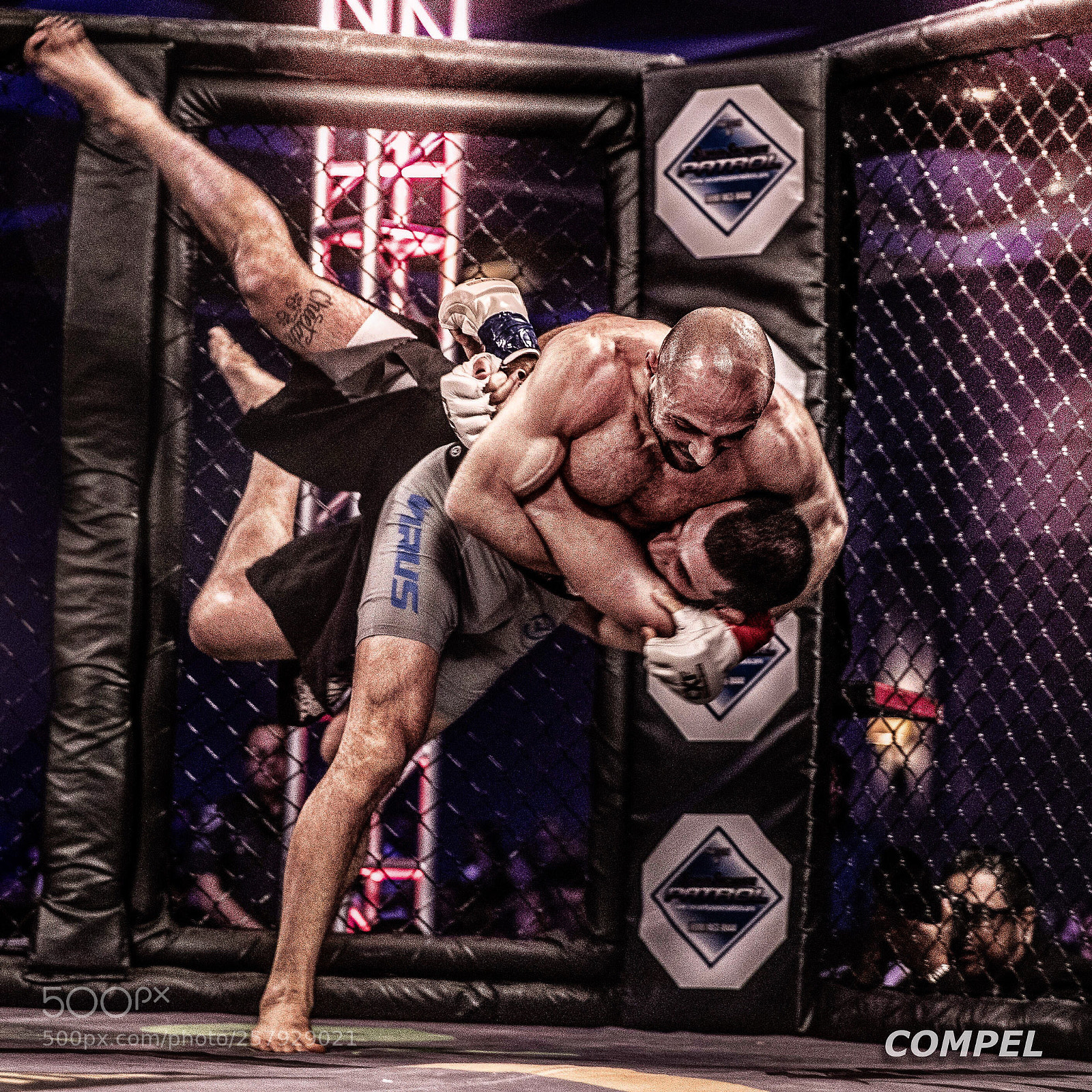 Canon EOS-1D X Mark II sample photo. Crash landing photography