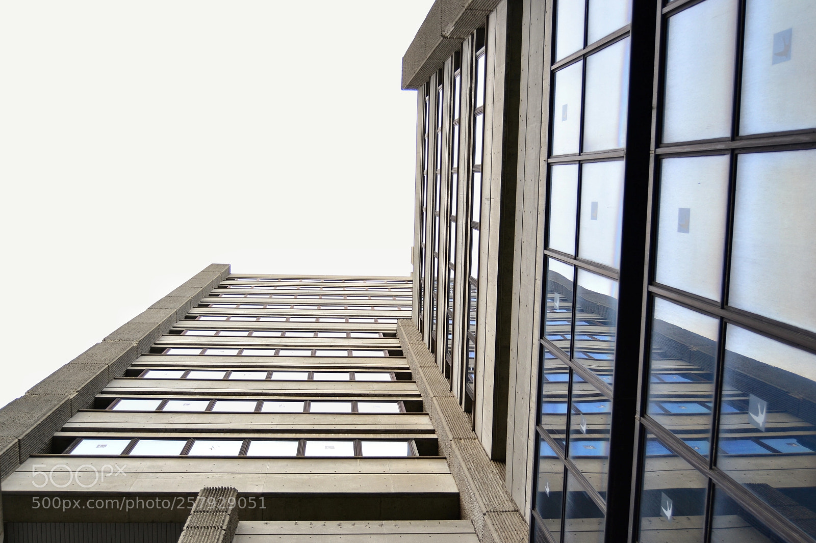 Nikon D3100 sample photo. 3/4 photography