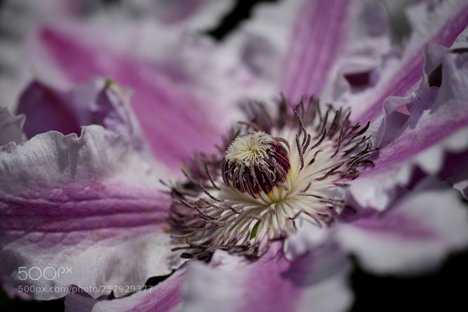 Nikon D5500 sample photo. Inside photography
