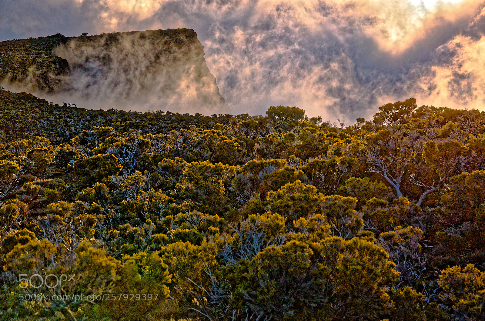 Nikon D7000 sample photo. Sunset sur les hauts photography