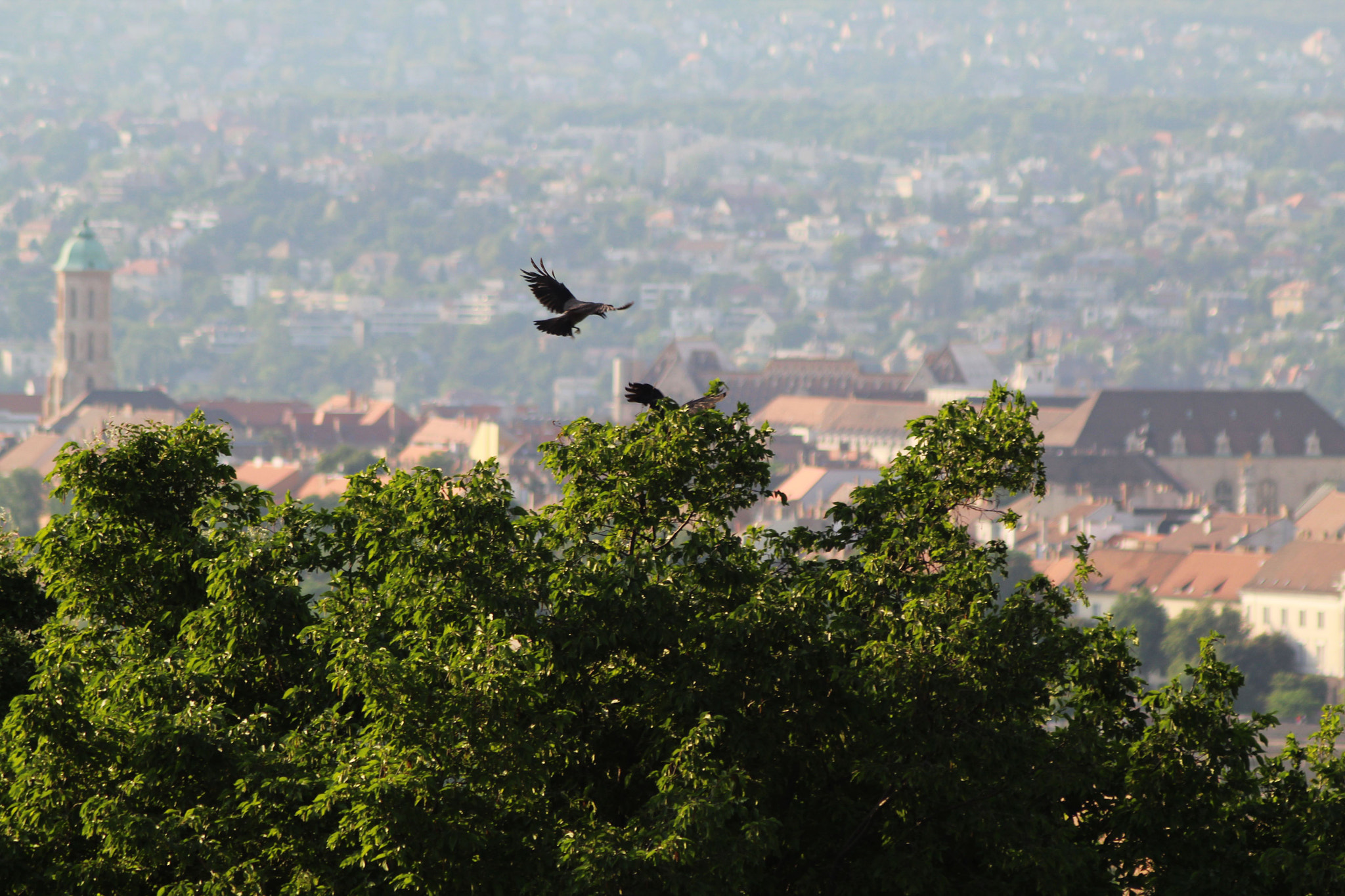 Canon EF 50-200mm f/3.5-4.5 sample photo