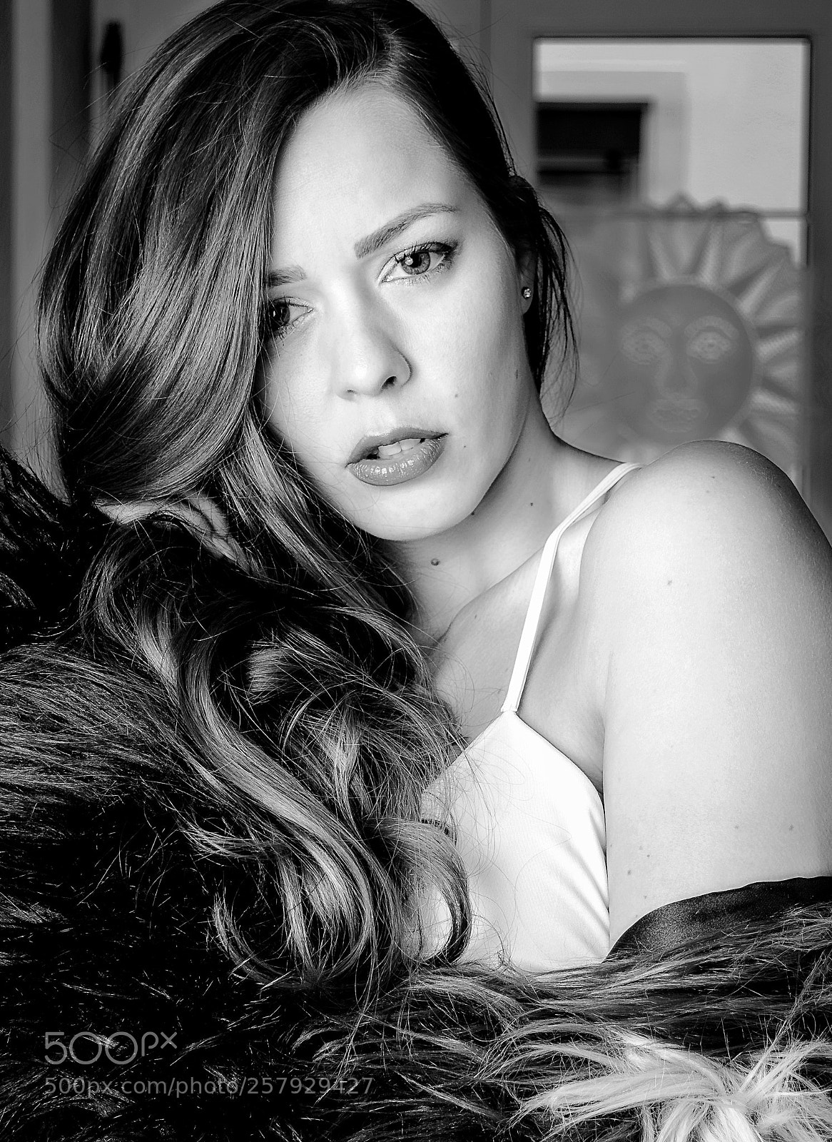 Nikon D7100 sample photo. Black shadows & white roses photography