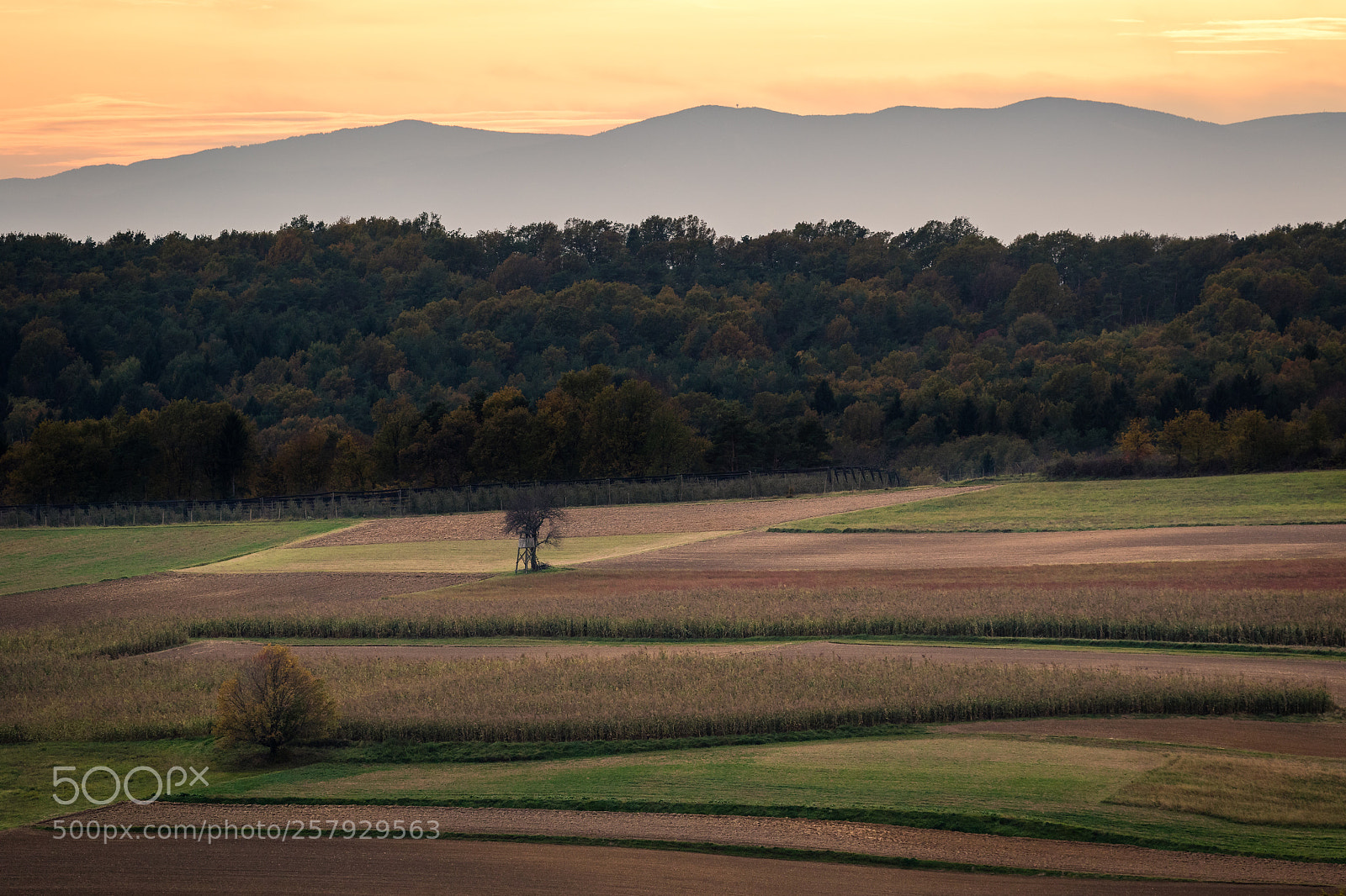 Canon EOS 7D Mark II sample photo. Fields at sunset photography
