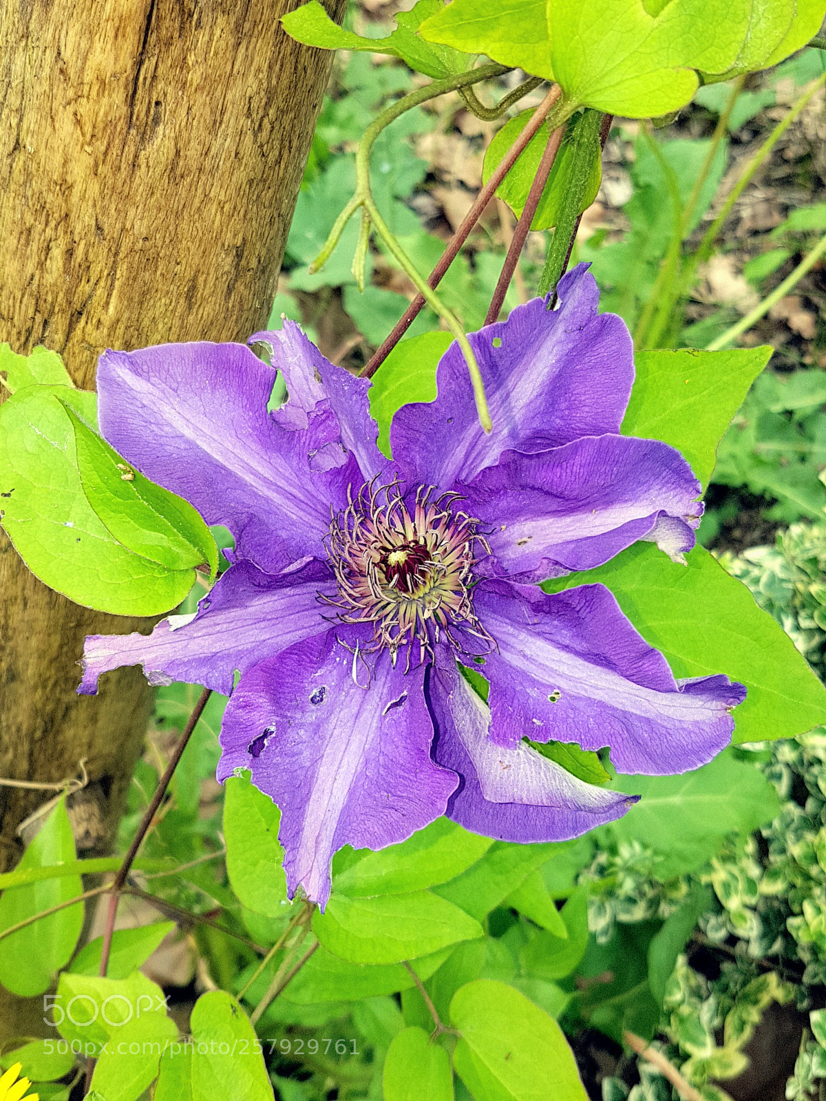 Samsung Galaxy S7 sample photo. Untitled photography